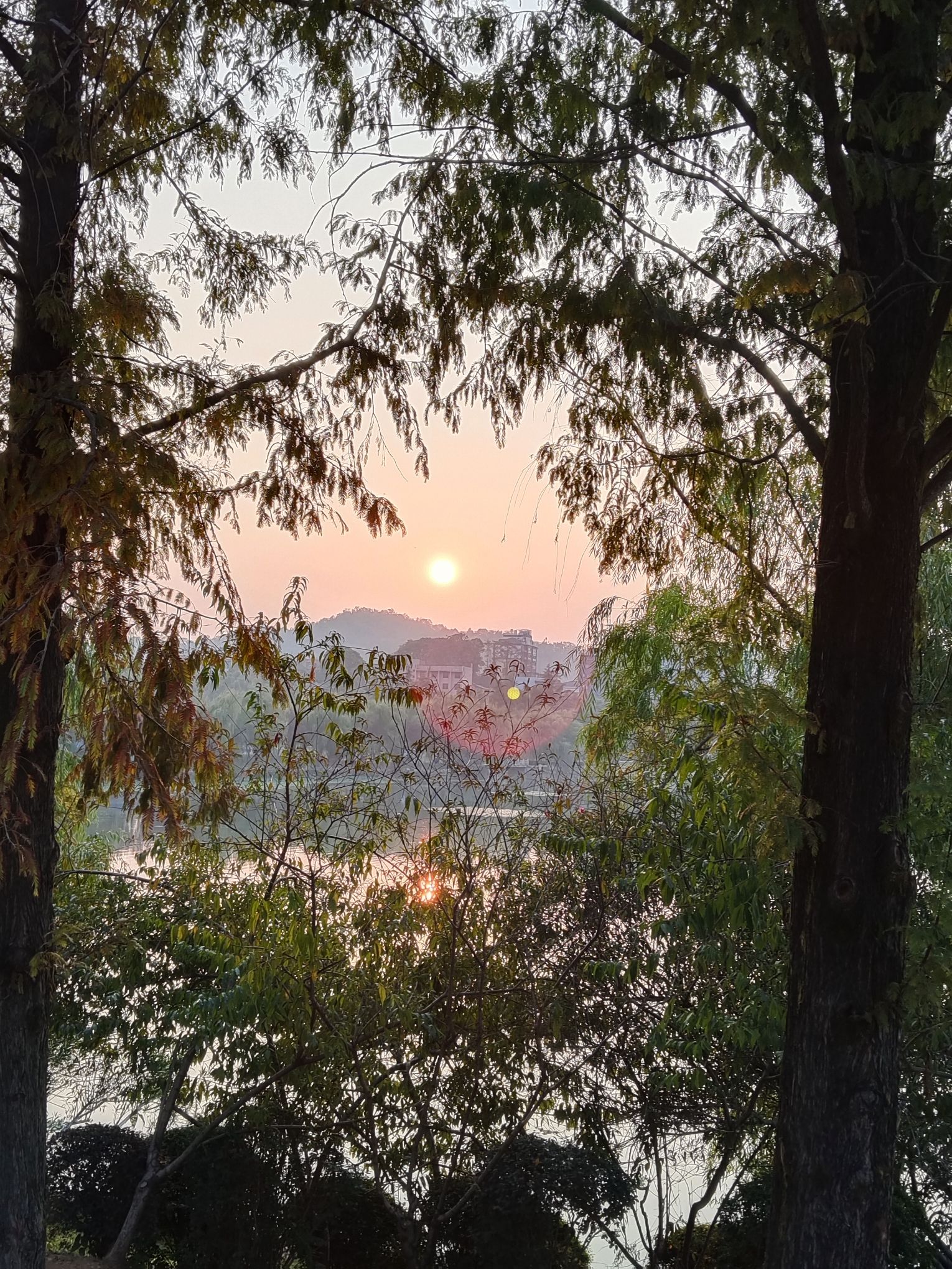 秀峰公园旅行图片 2