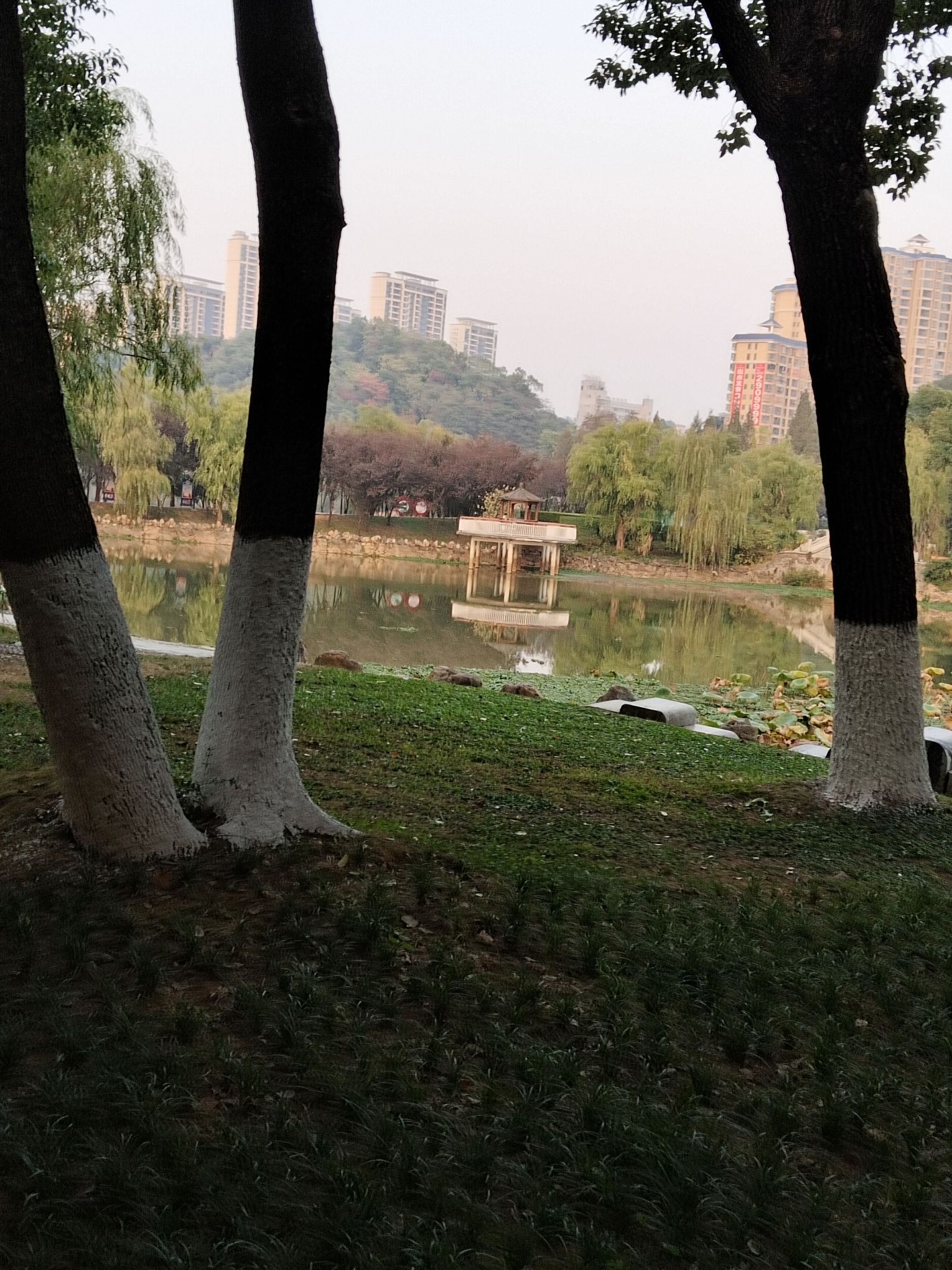 秀峰公园旅行图片 1
