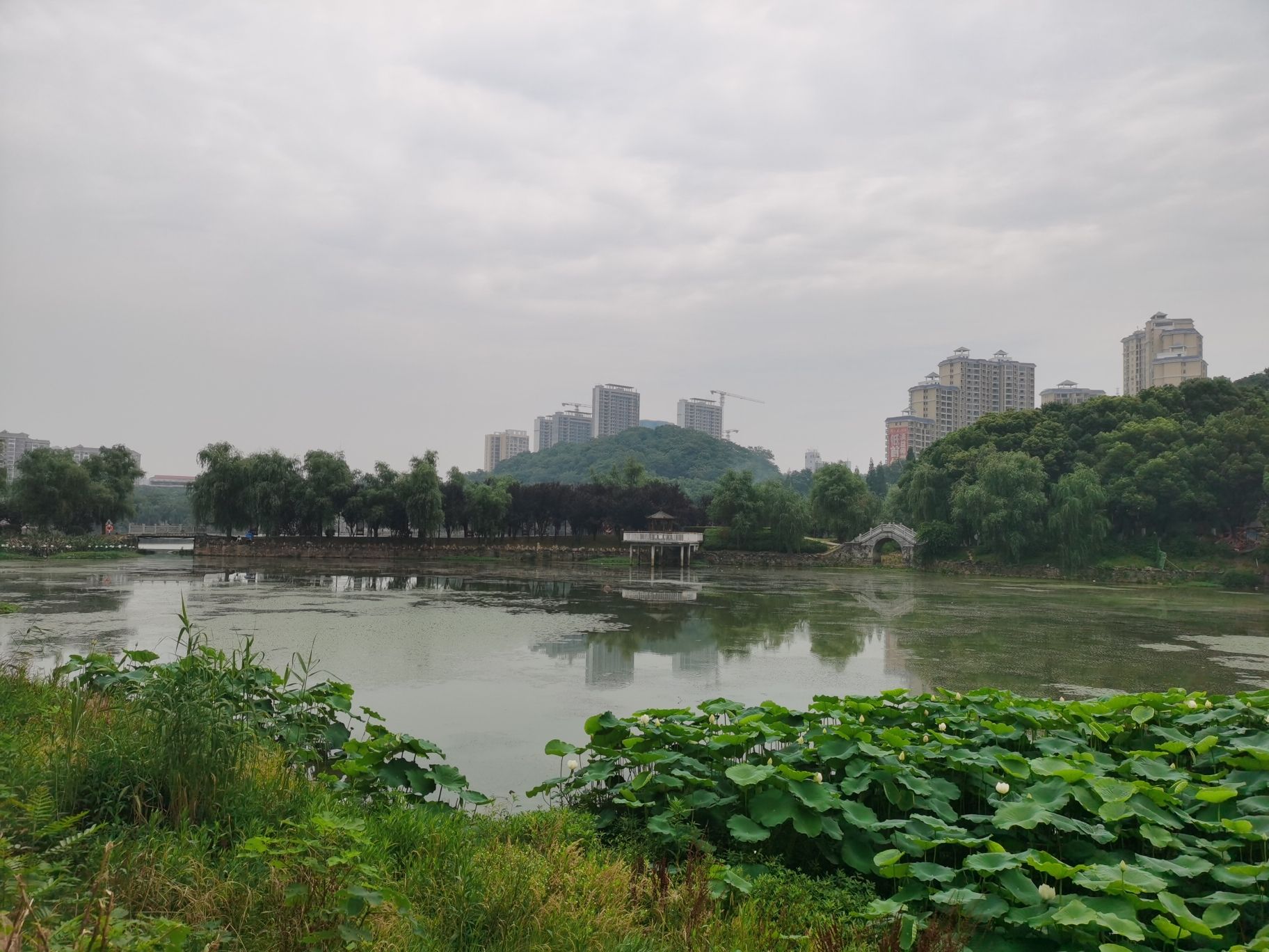 秀峰公园旅行图片 2