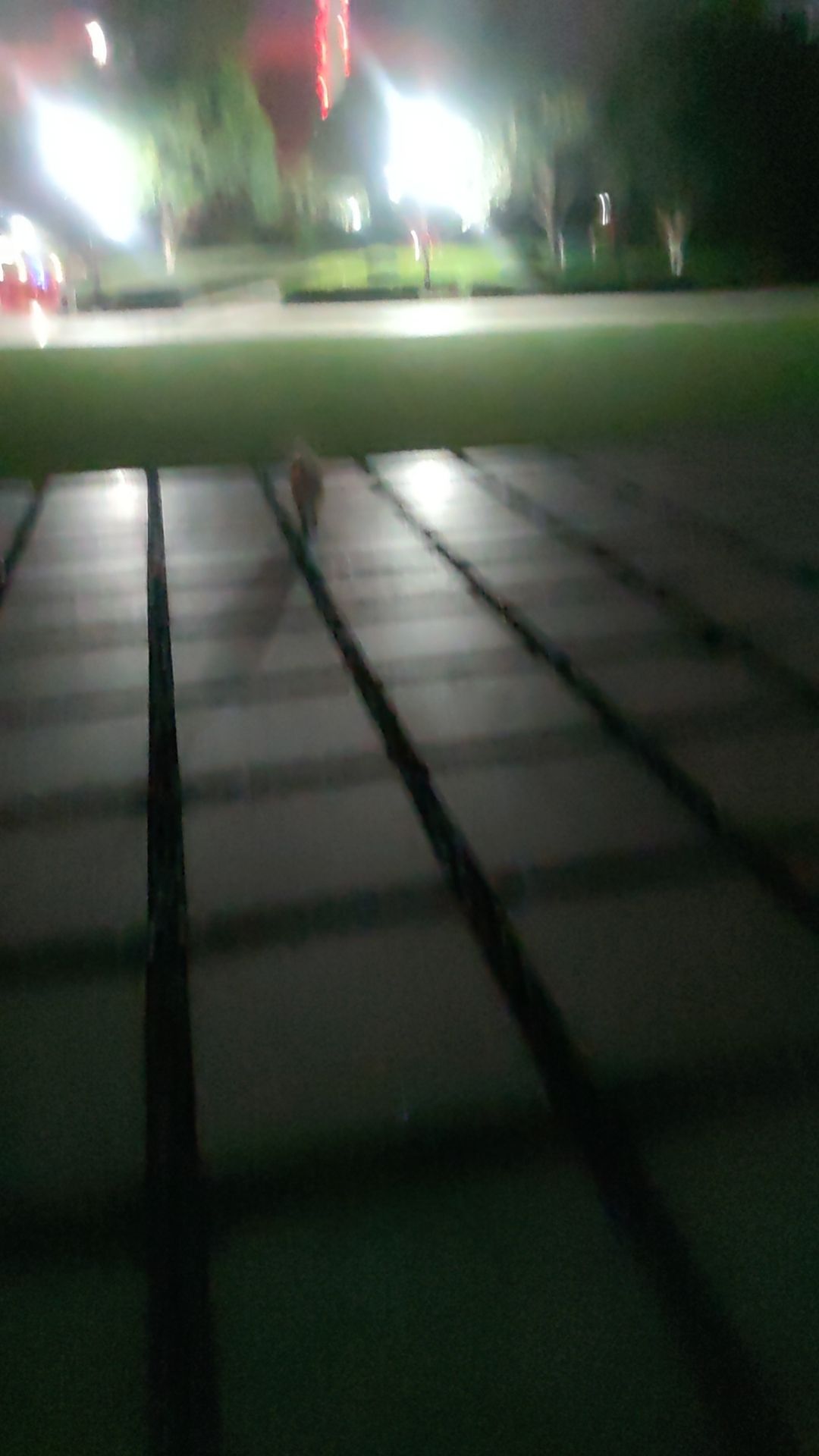 琼湖公园旅行图片 1