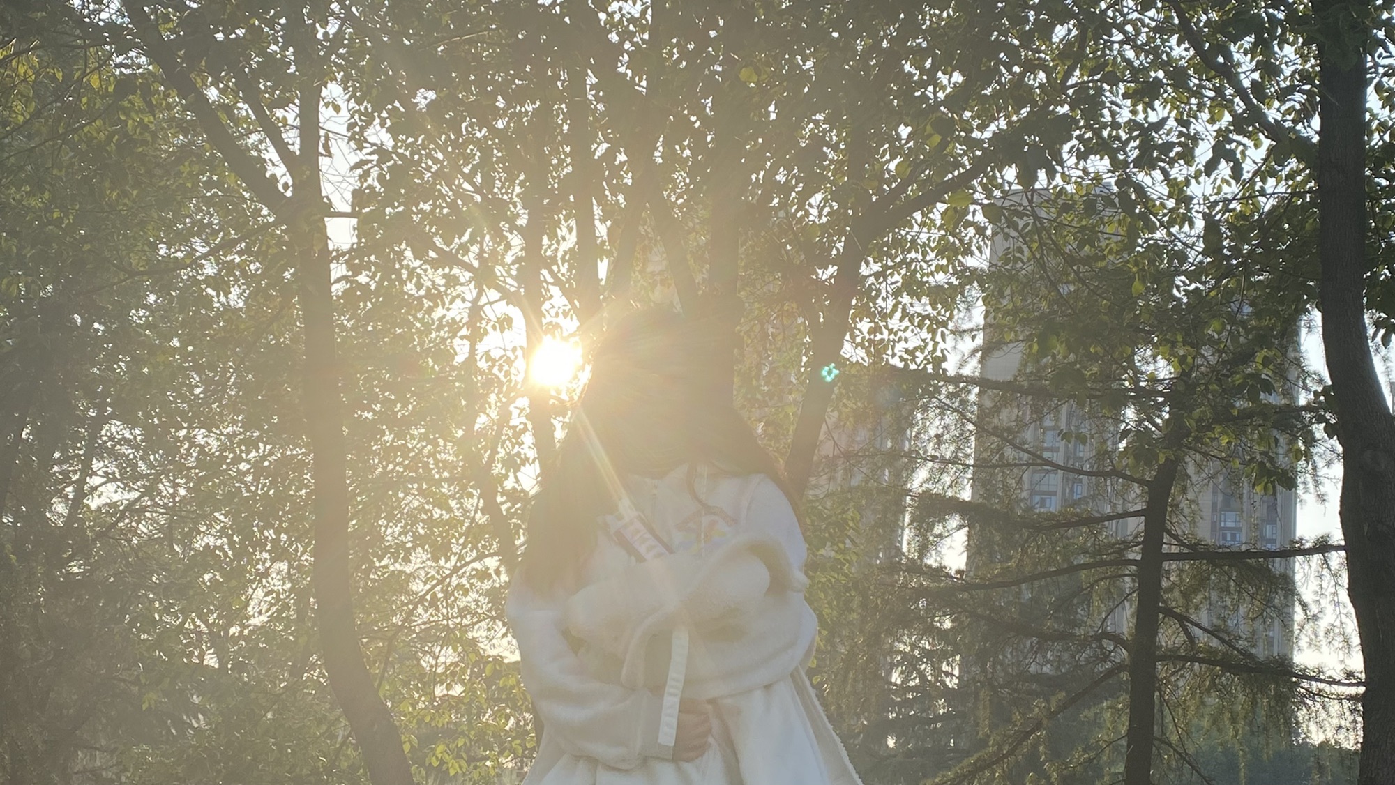 德昌公园旅行图片 2