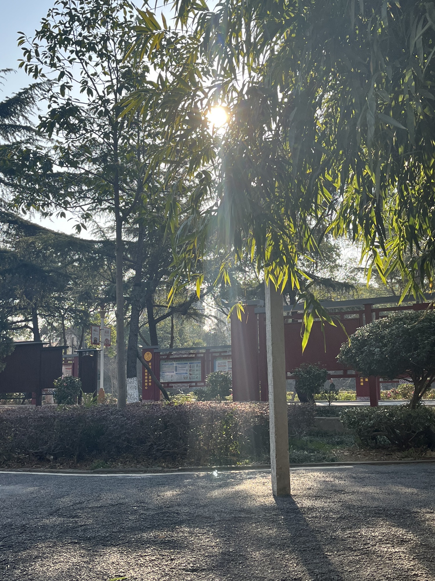 德昌公园旅行图片 3
