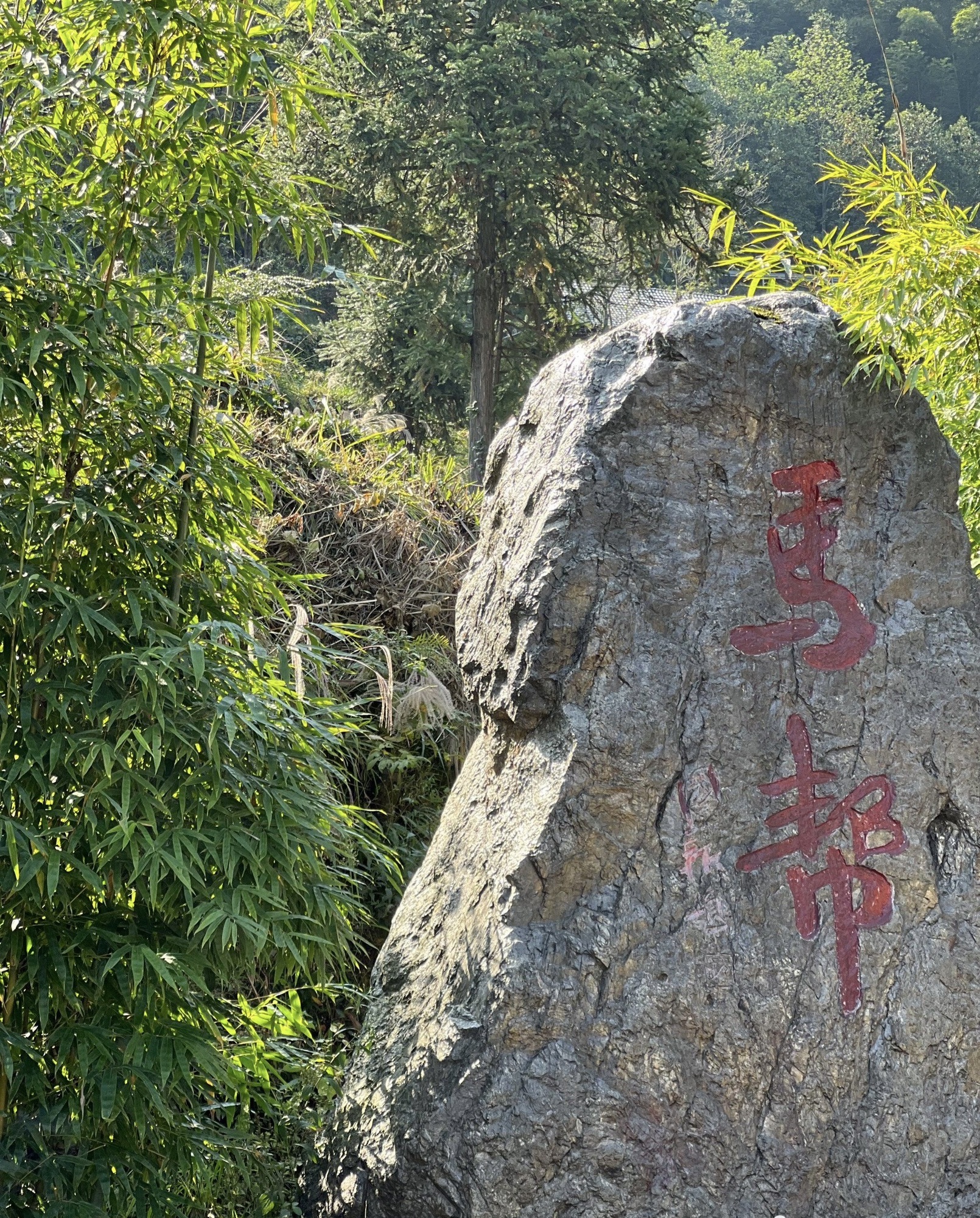 茶马古道旅行图片 1