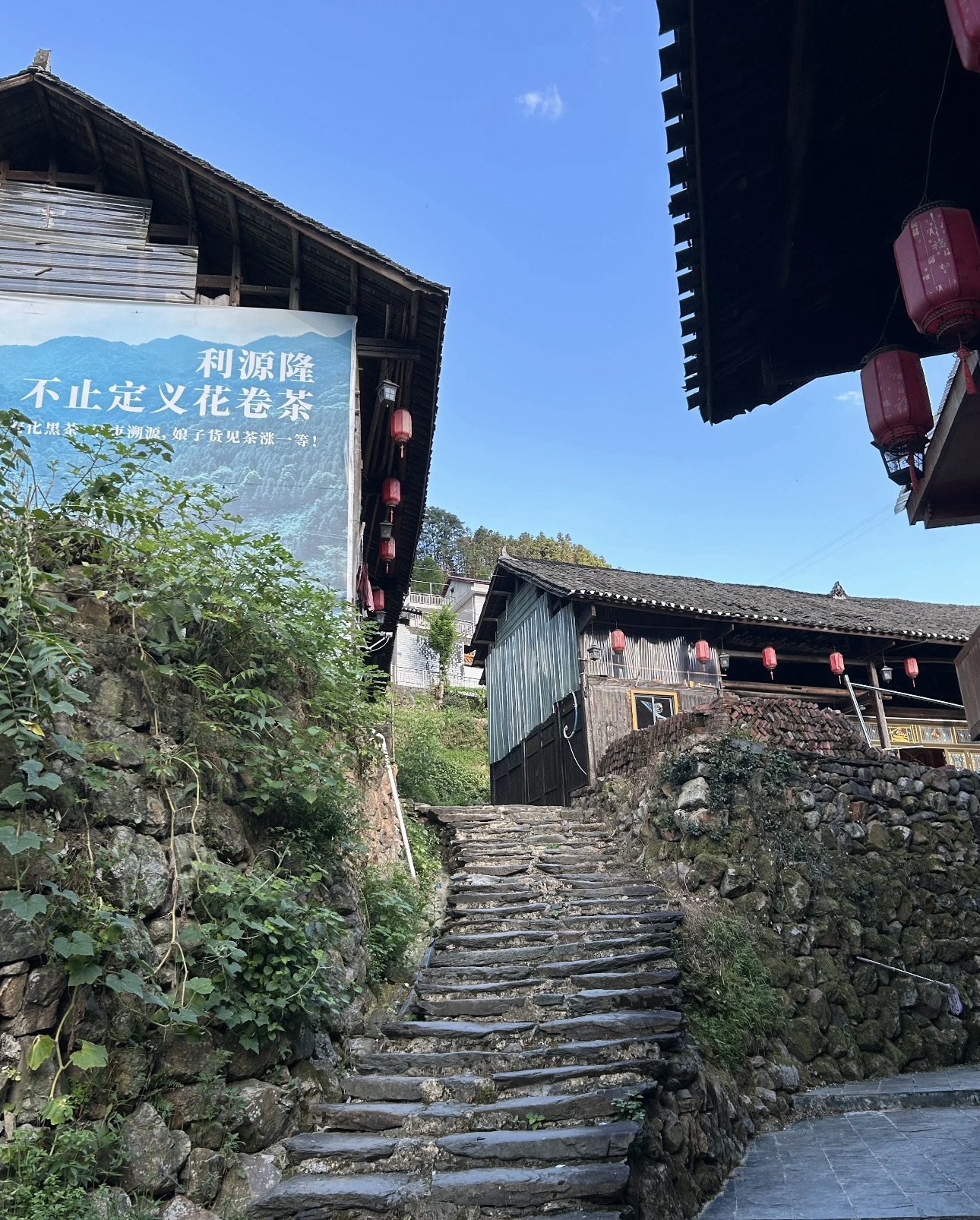 茶马古道旅行图片 2