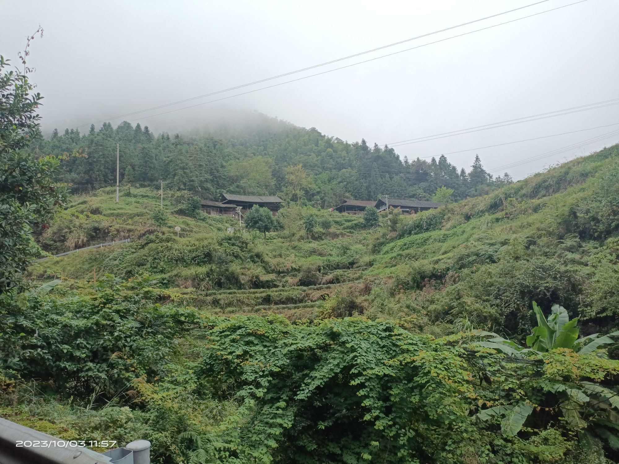 茶马古道旅行图片 3