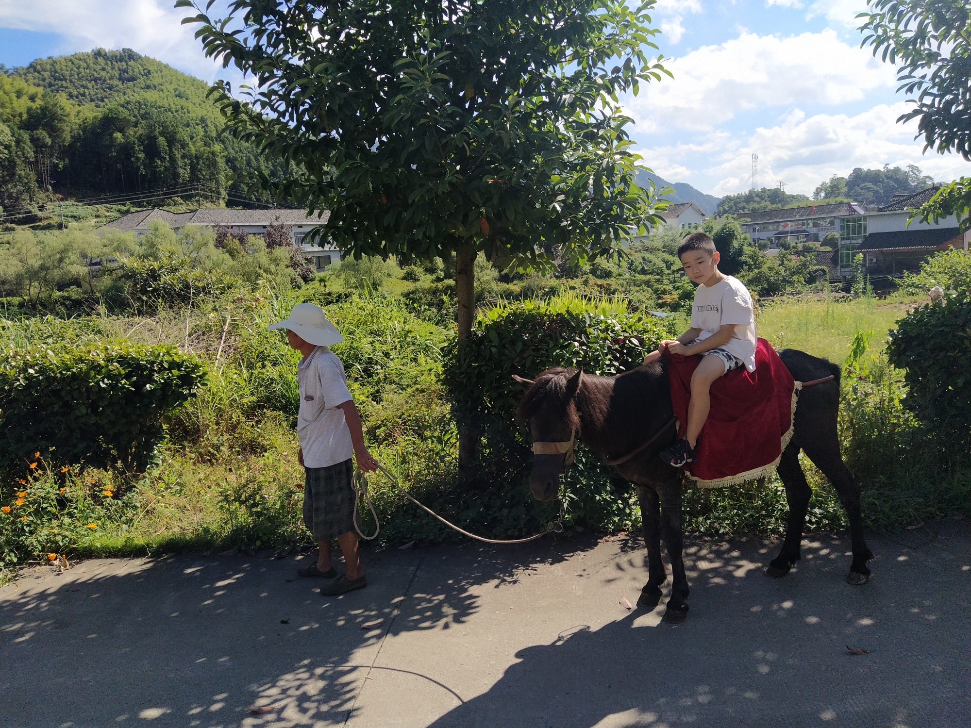茶马古道旅行图片 1