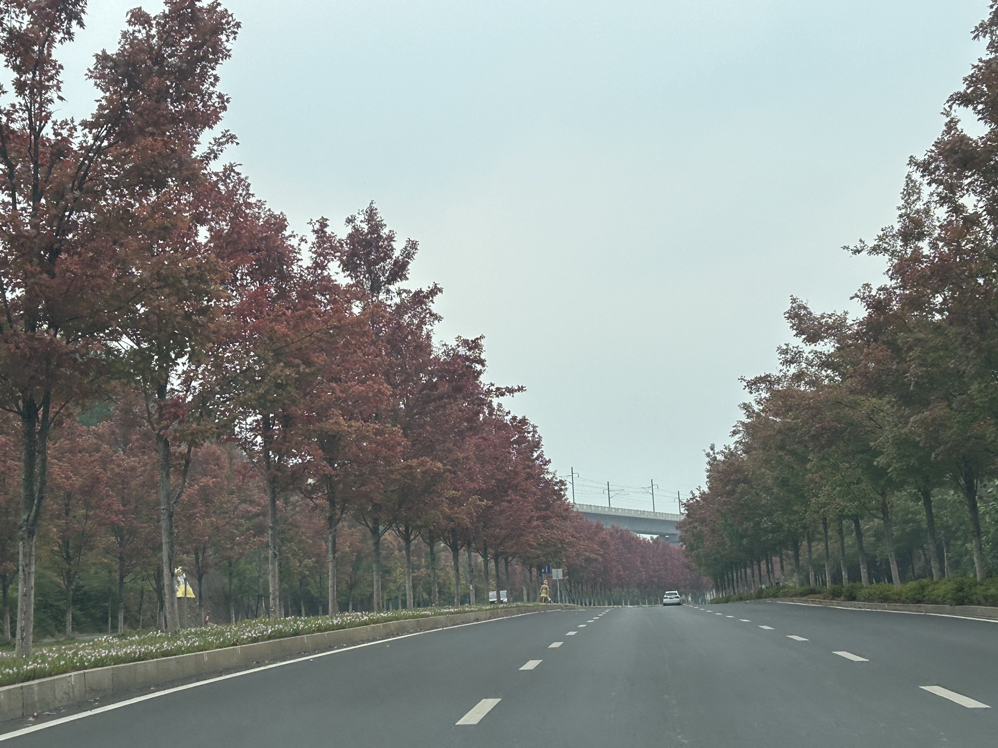 鱼形山旅游风景区旅行图片 3