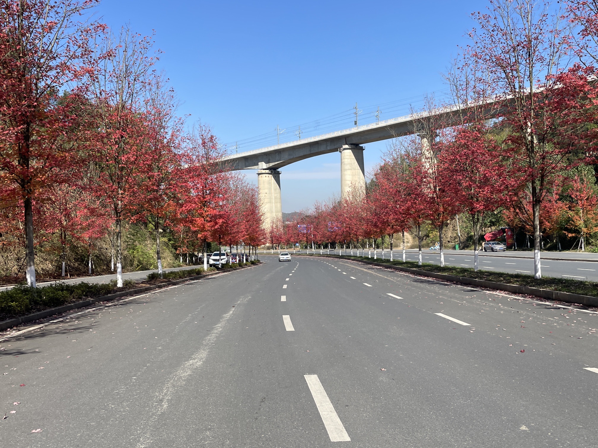 鱼形山旅游风景区旅行图片 1