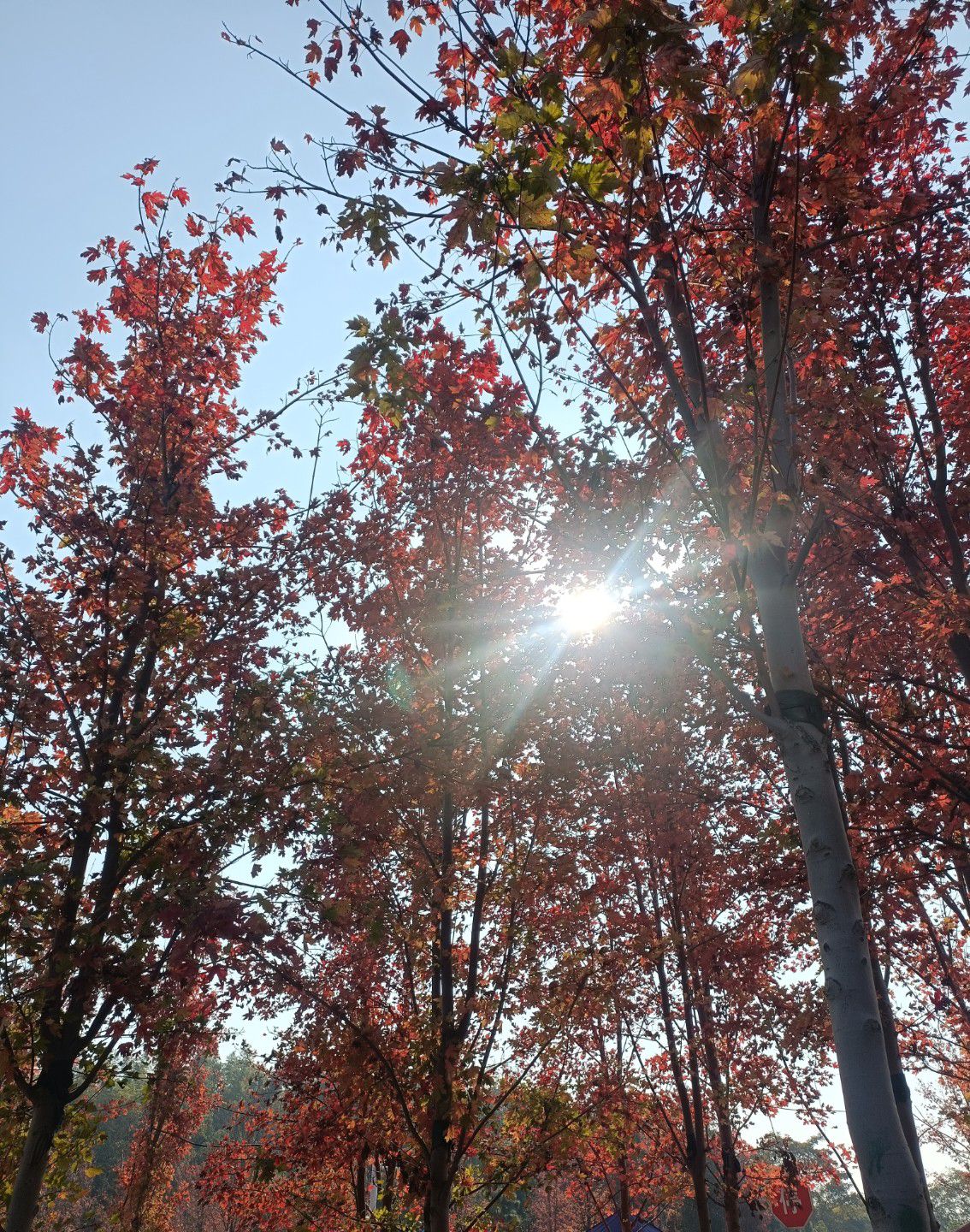 鱼形山旅游风景区旅行图片 1