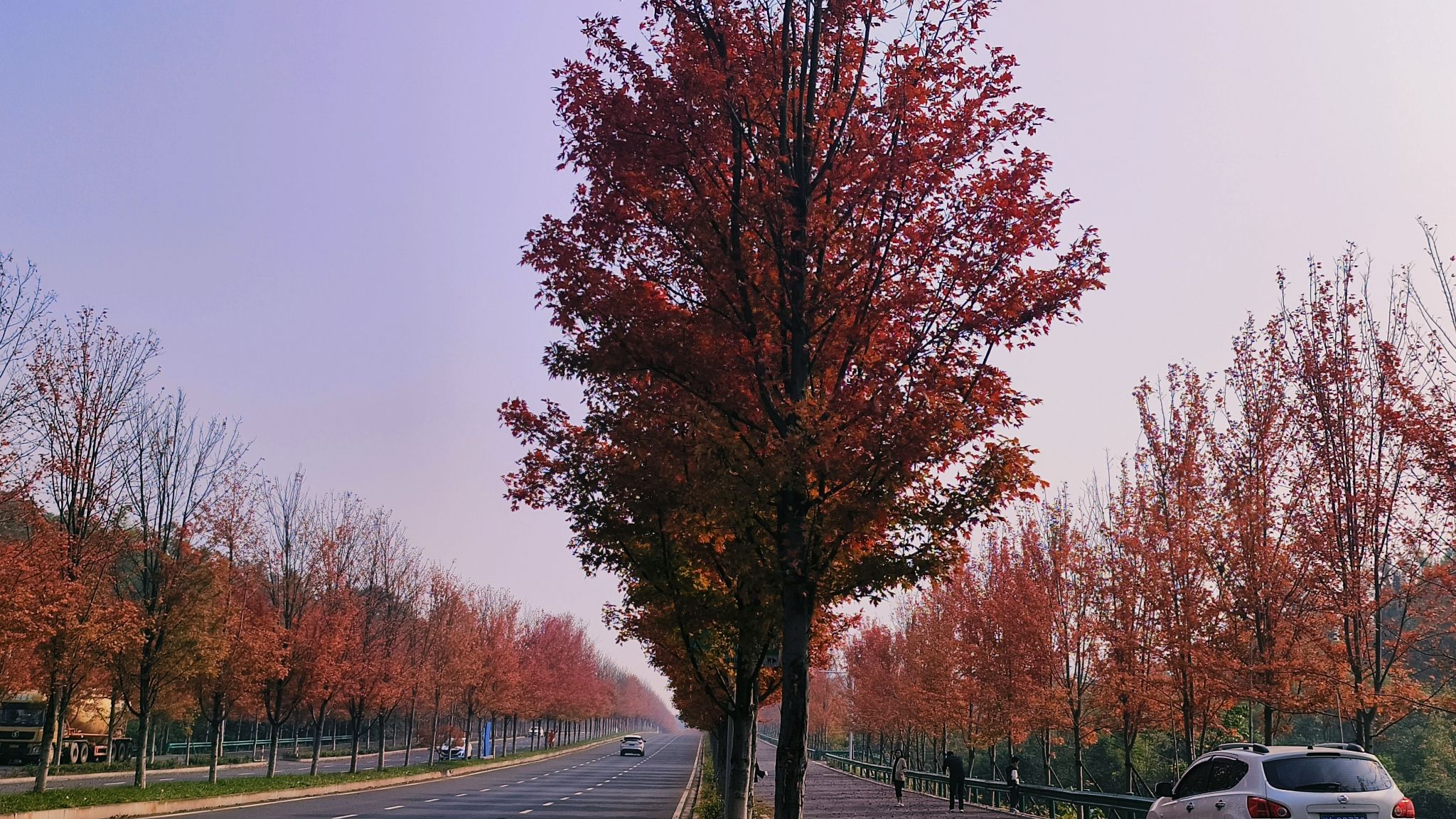 鱼形山旅游风景区旅行图片 2