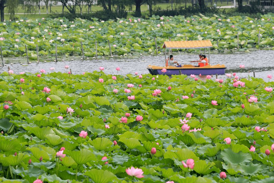 大通湖生态公园