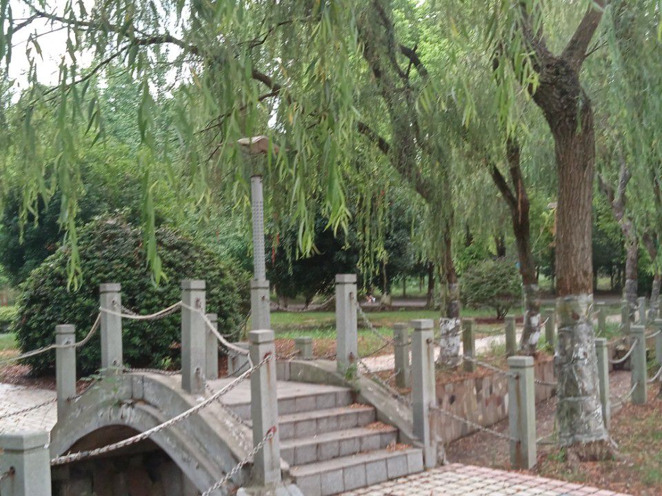 大通湖生态公园旅行图片 1