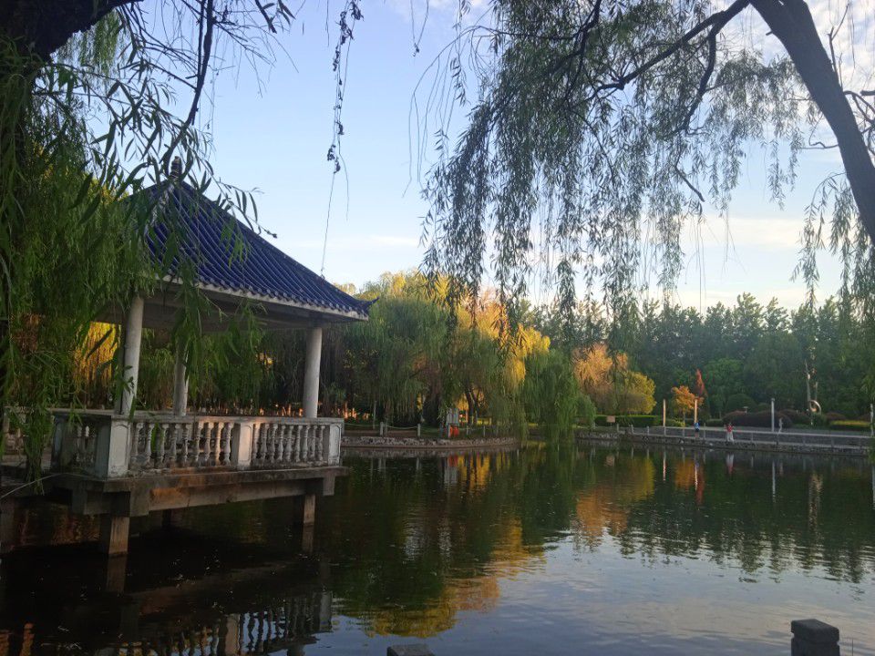 大通湖生态公园旅行图片 3
