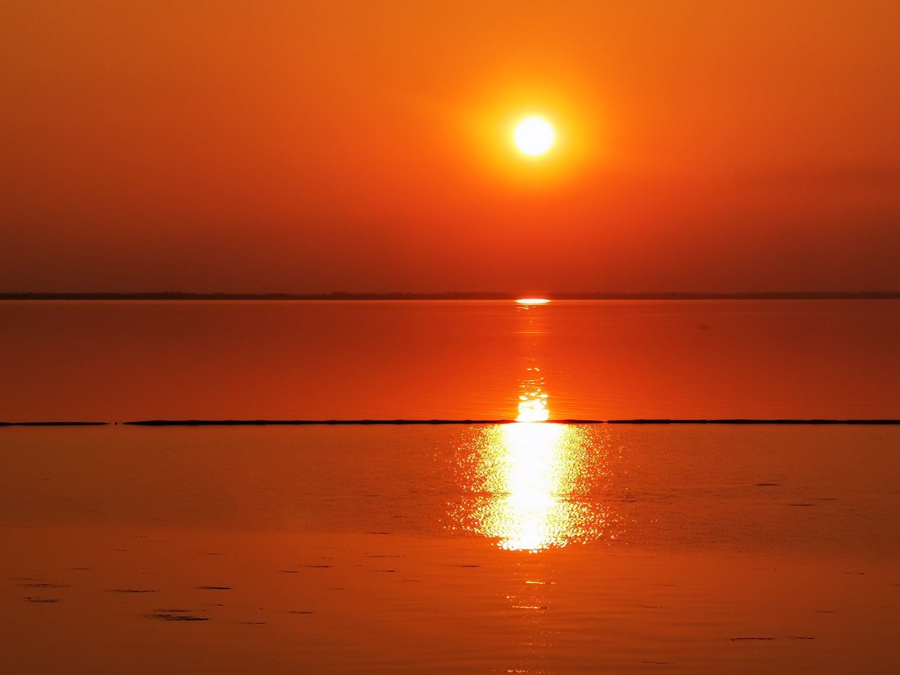 大通湖生态公园旅行图片 1