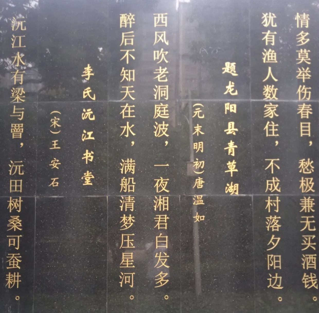 沅江休闲公园旅行图片 3