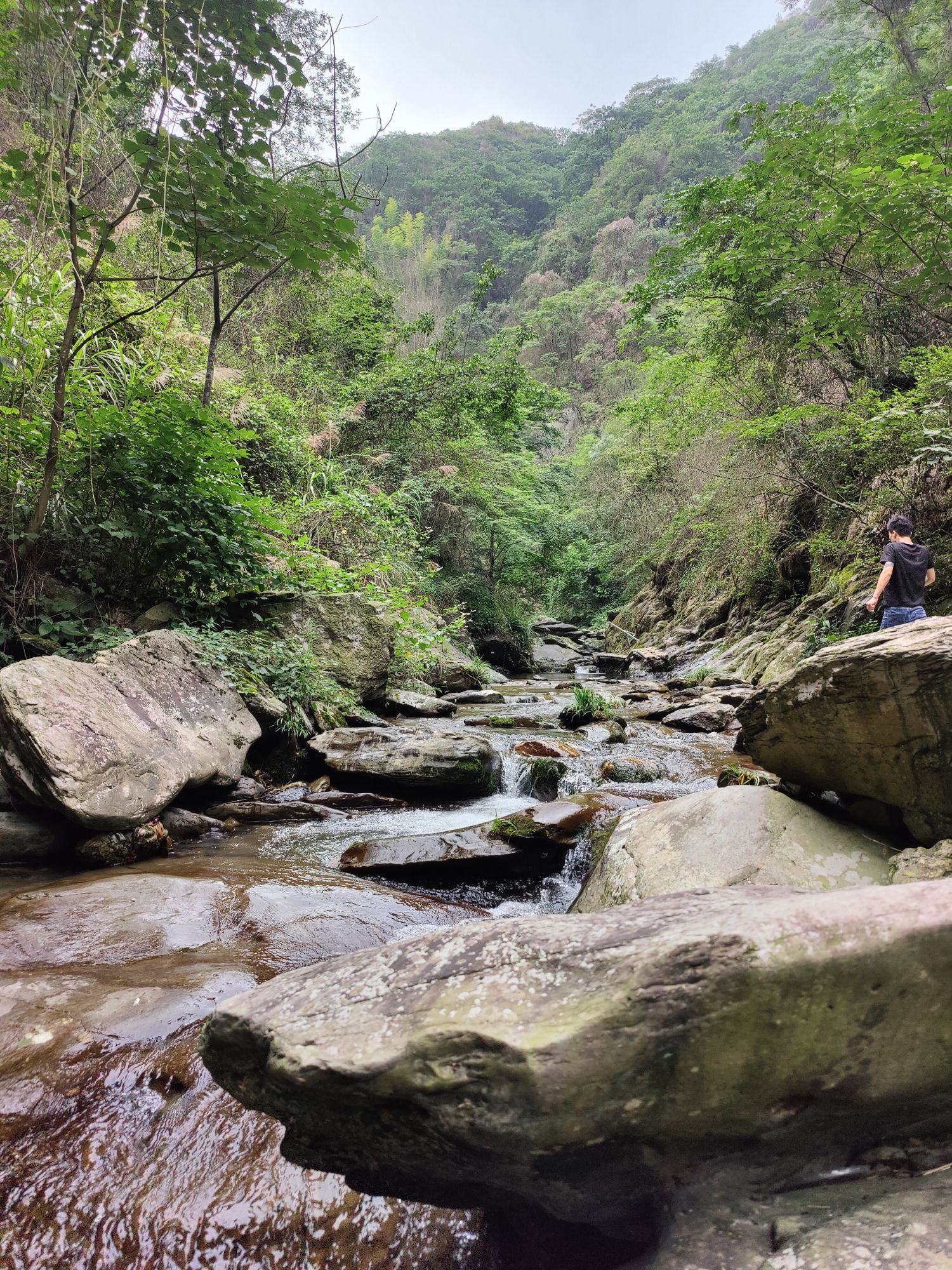 鹰嘴石旅行图片 3