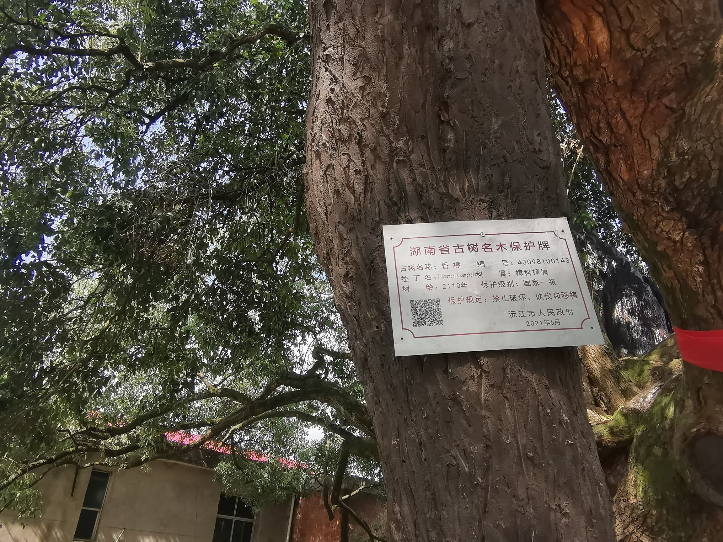 樟抱腊旅行图片 1