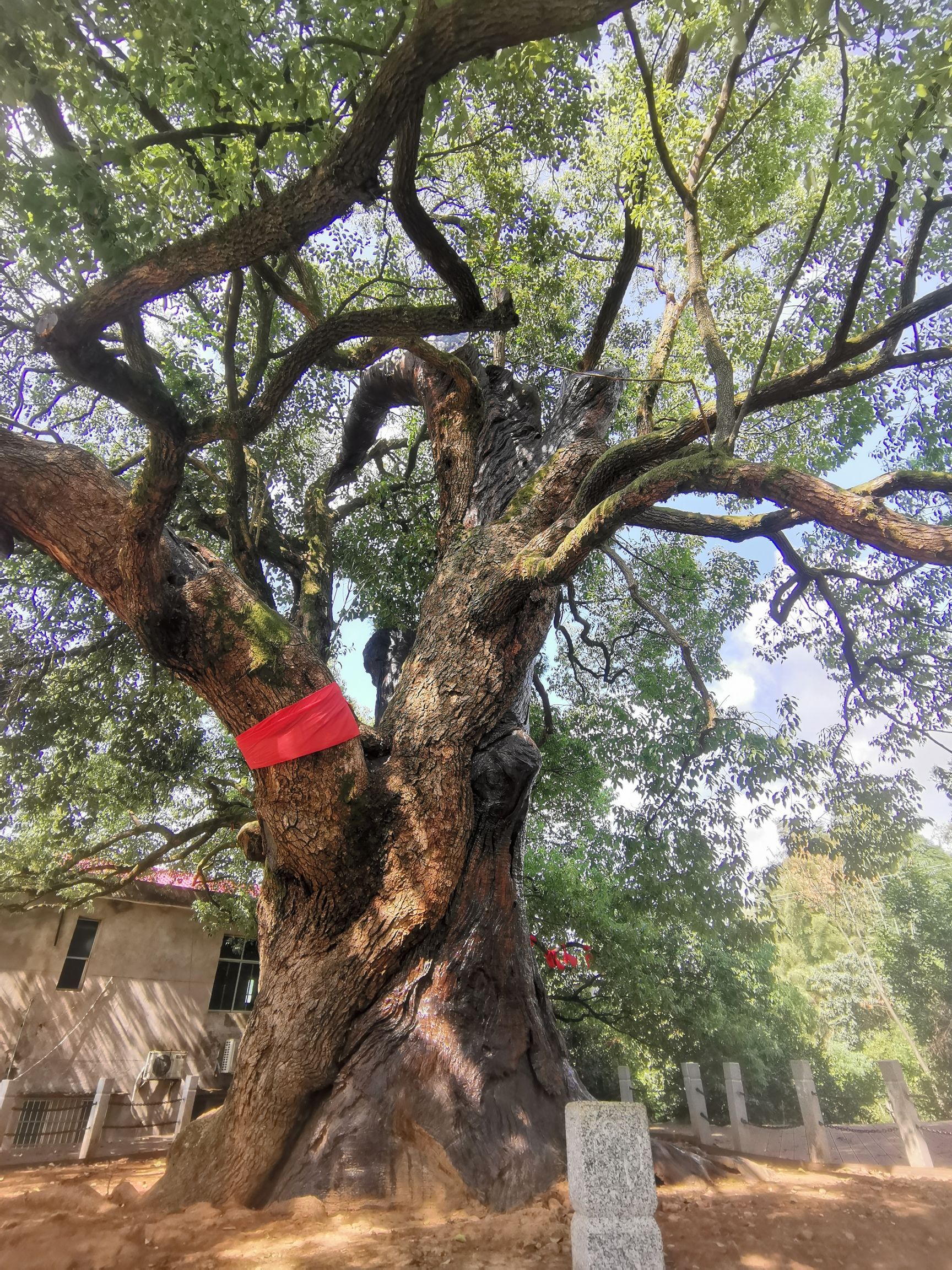 樟抱腊旅行图片 3