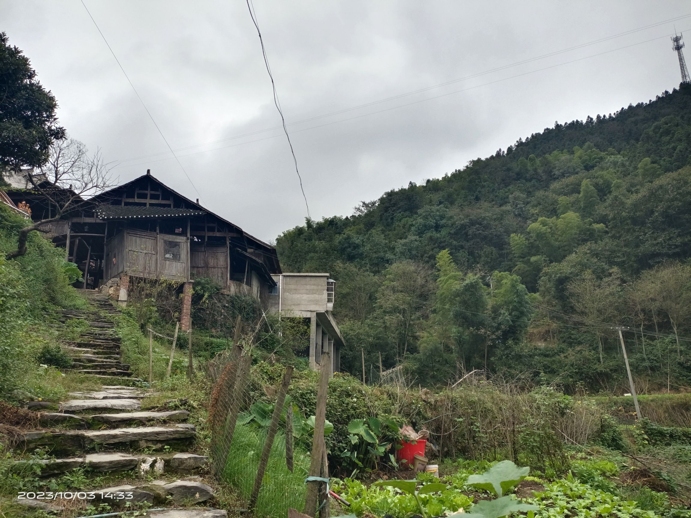 洞市老街旅行图片 1