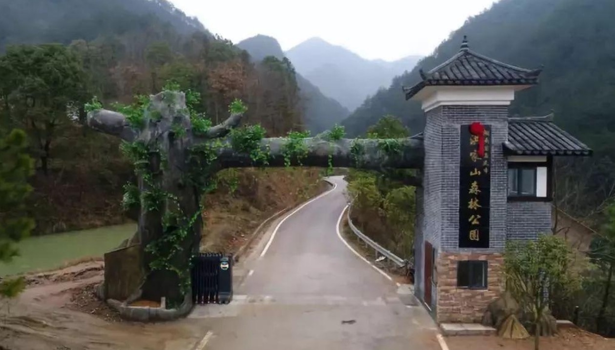 洪水岭森林公园旅行图片 1