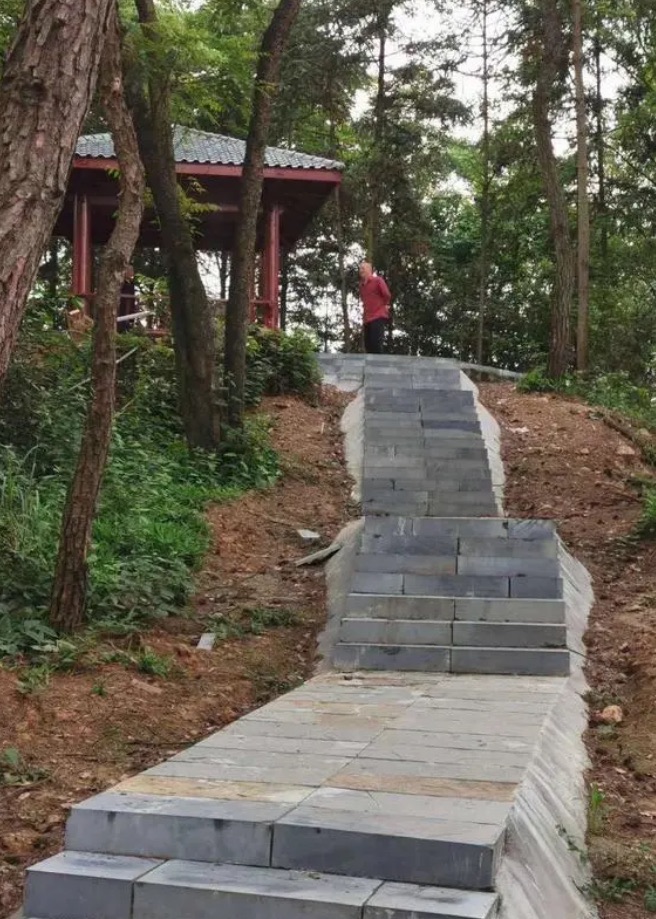 洪水岭森林公园旅行图片 3