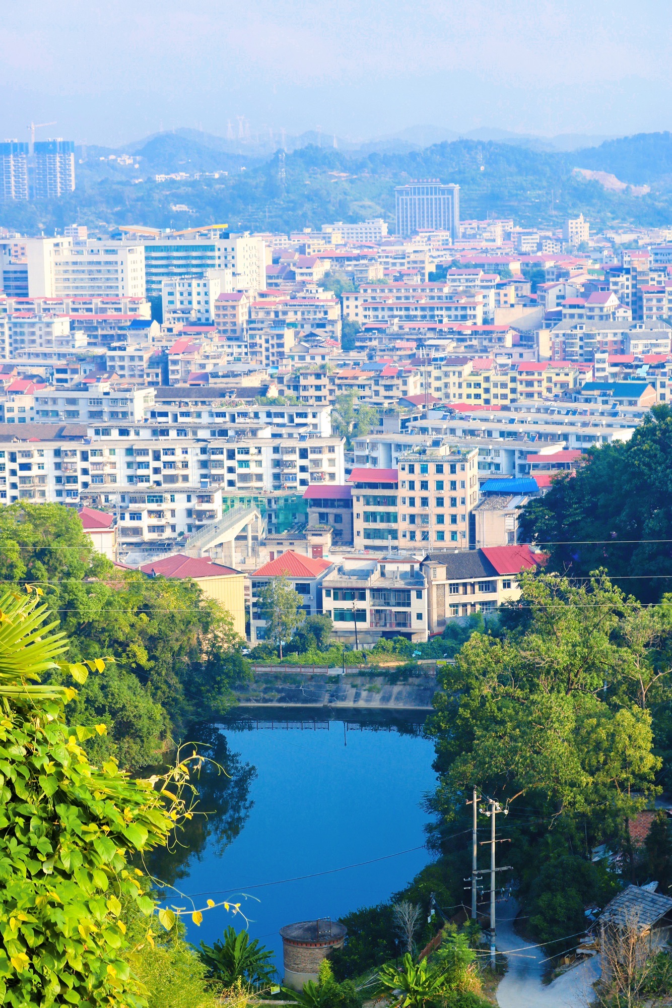 洪水岭森林公园旅行图片 3
