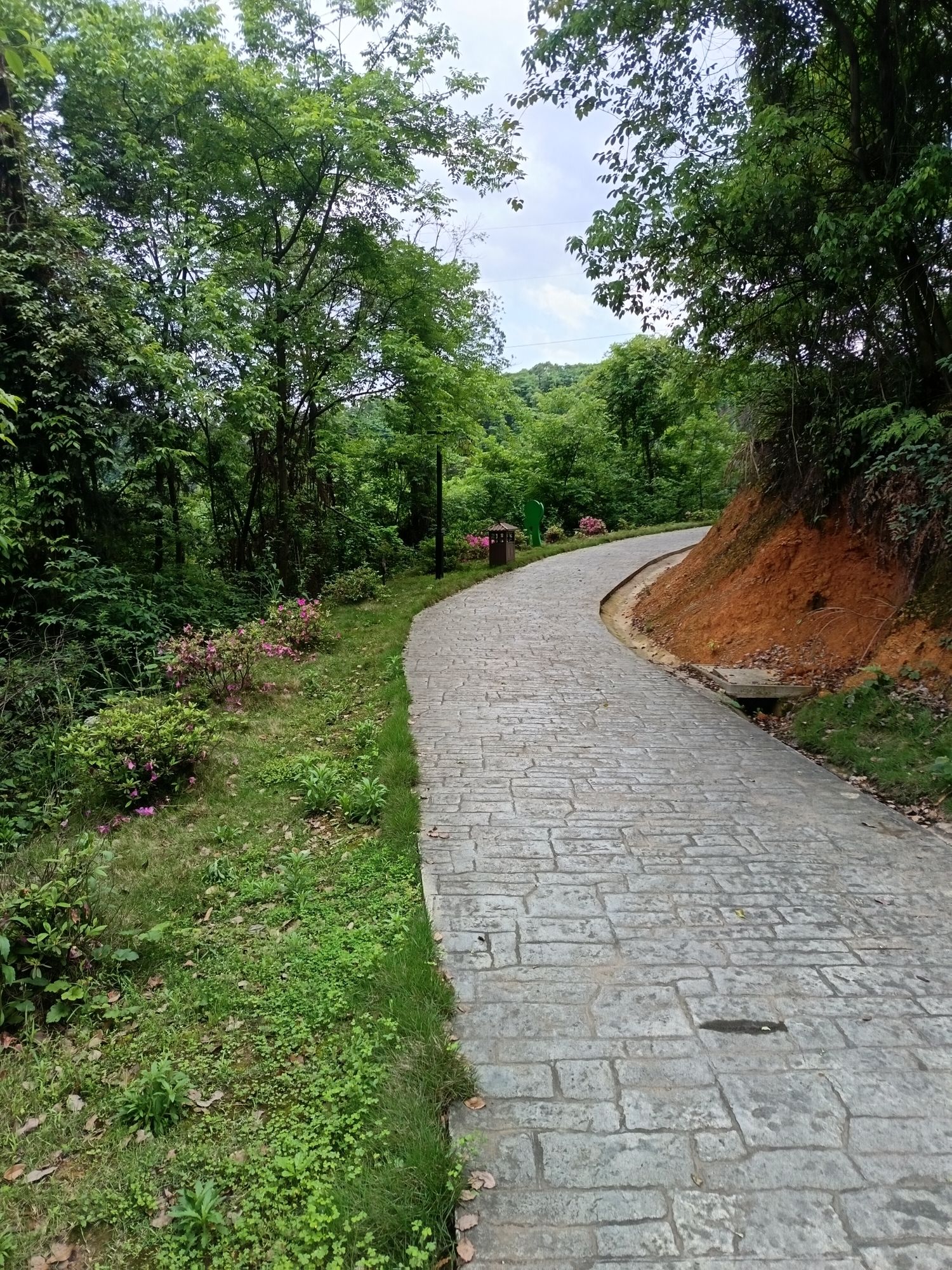 洪水岭森林公园旅行图片 1