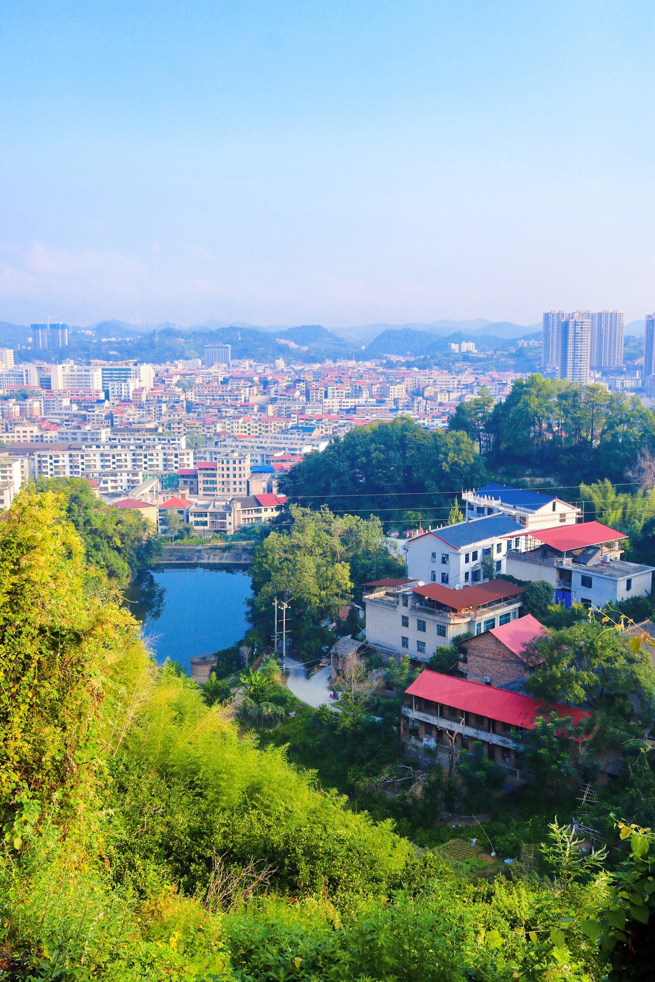 洪水岭森林公园旅行图片 2