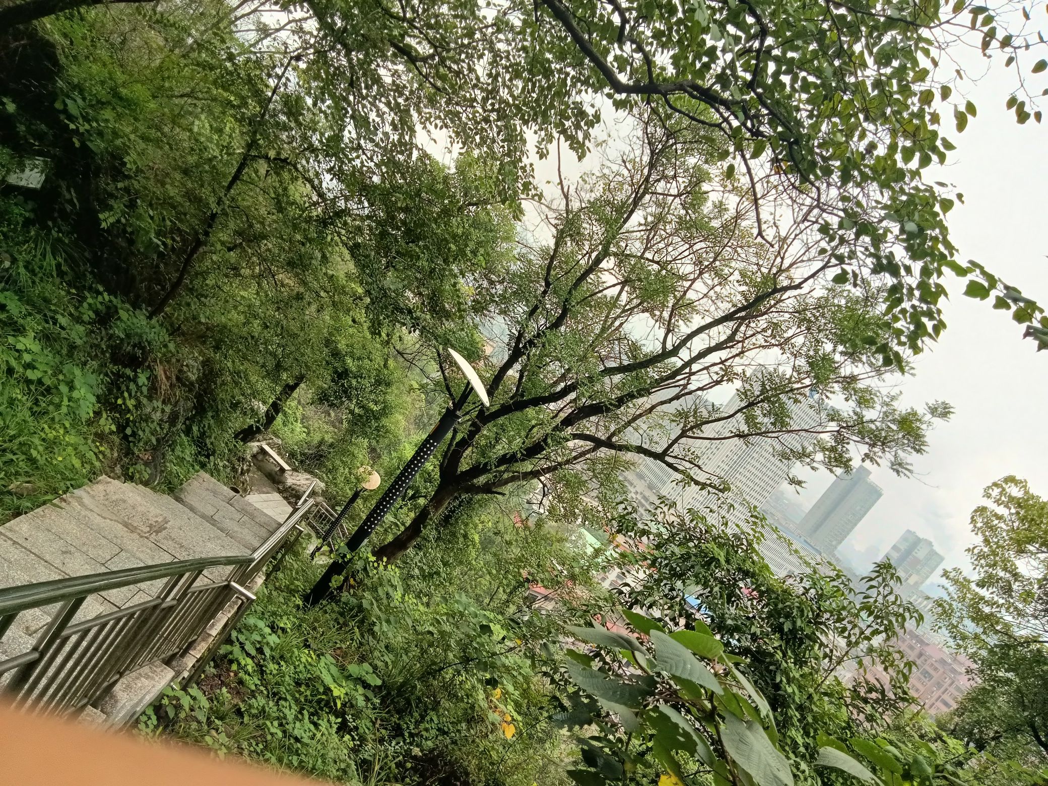红日公园旅行图片 3