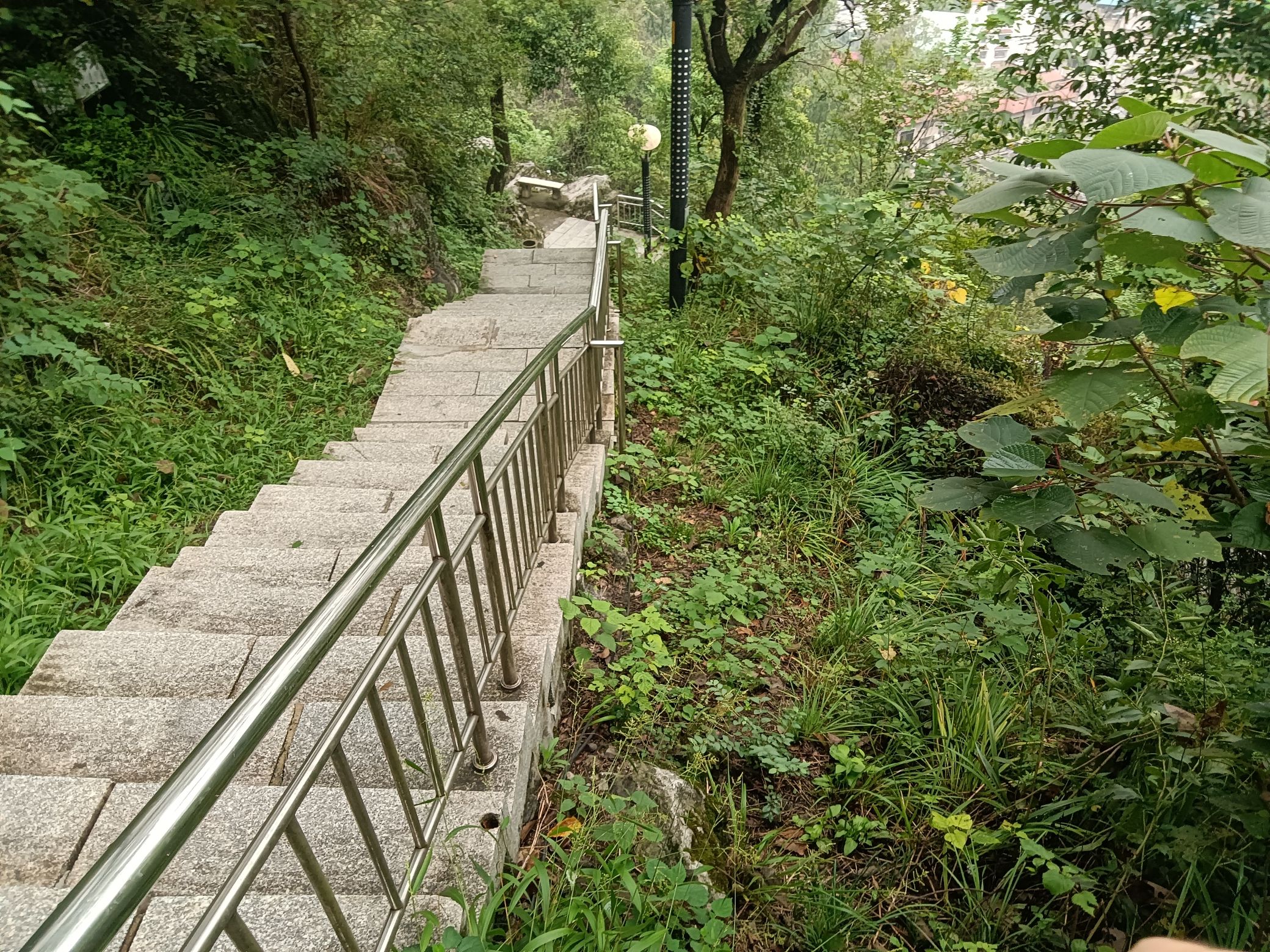 红日公园旅行图片 1