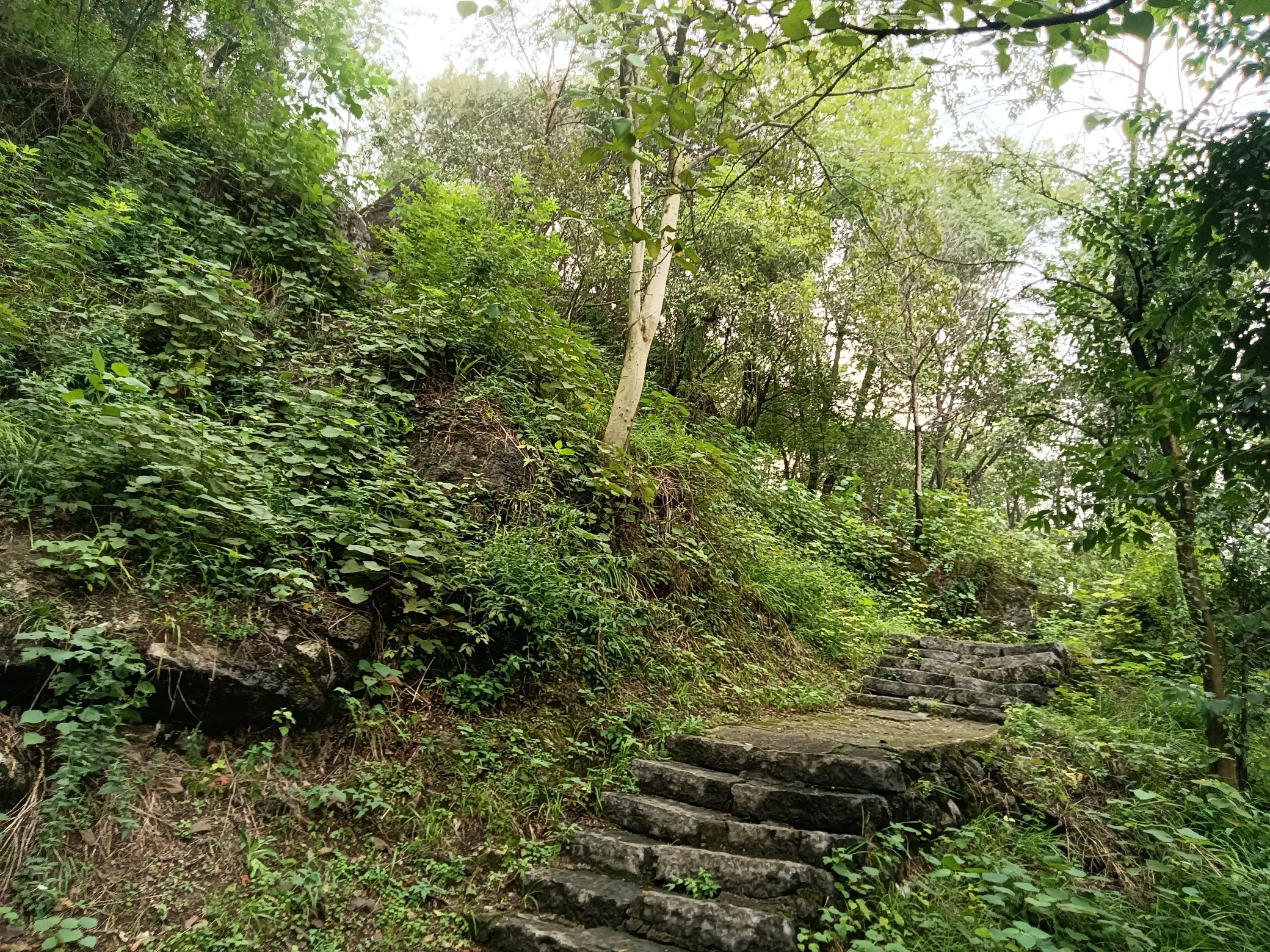 红日公园旅行图片 2