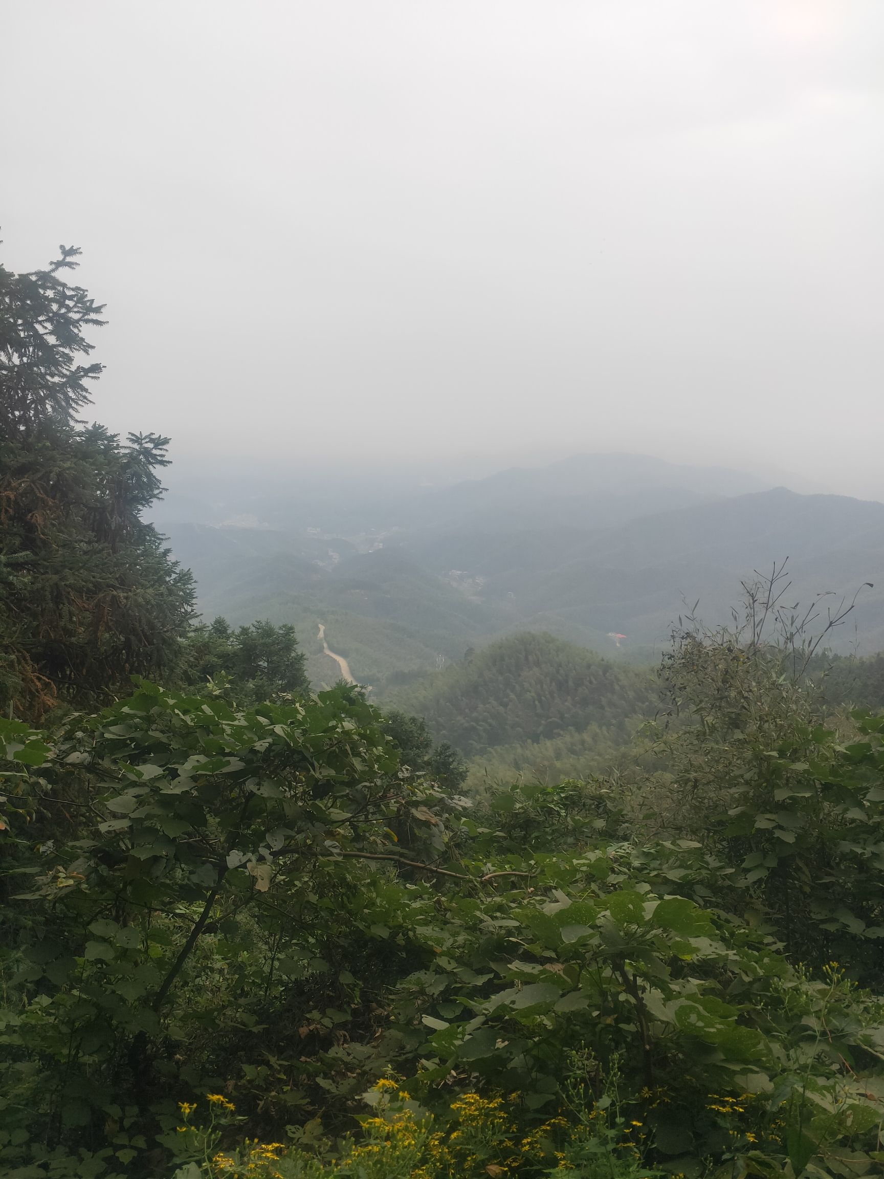 九峰山森林公园旅行图片 3