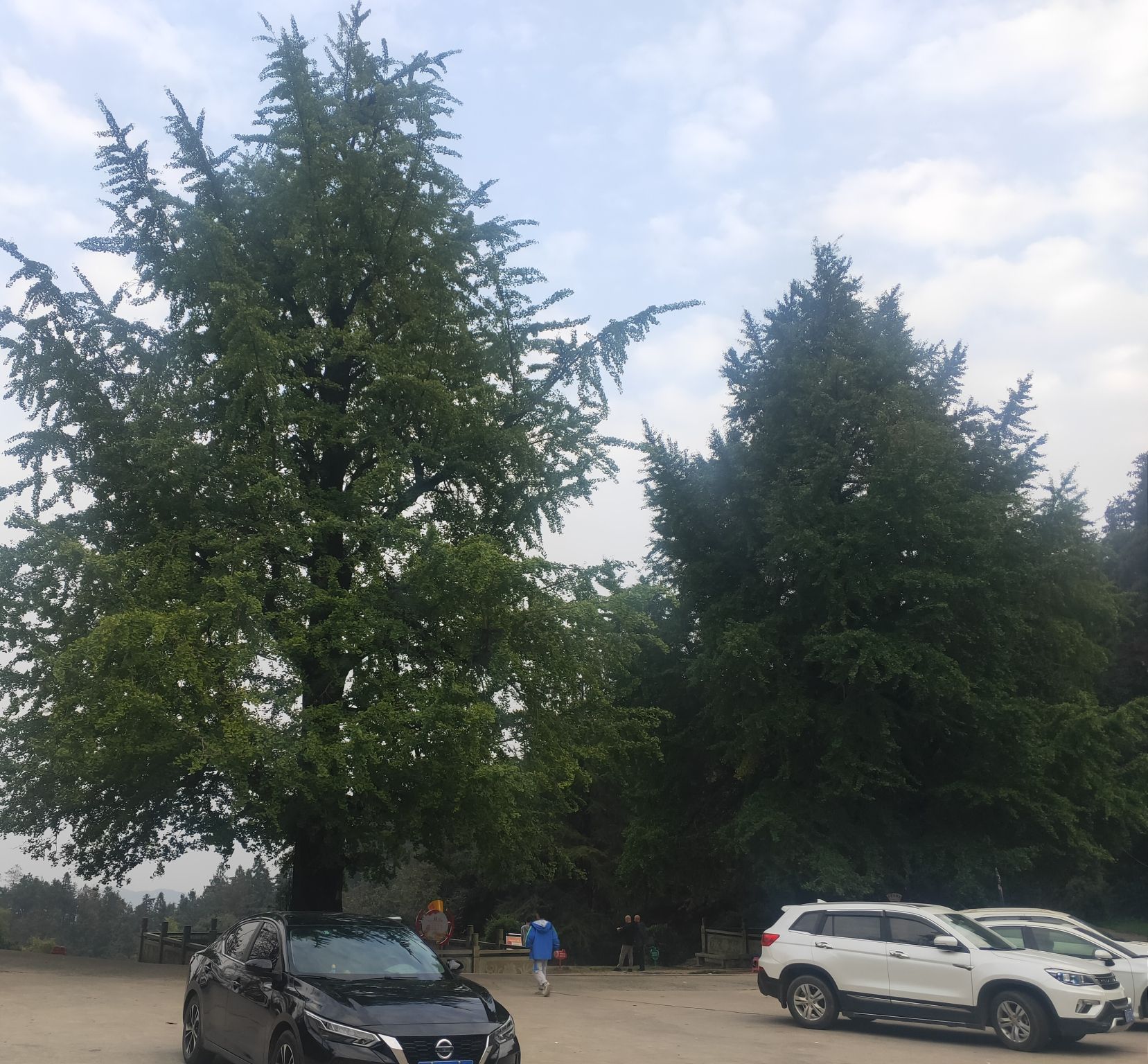 九峰山森林公园旅行图片 2
