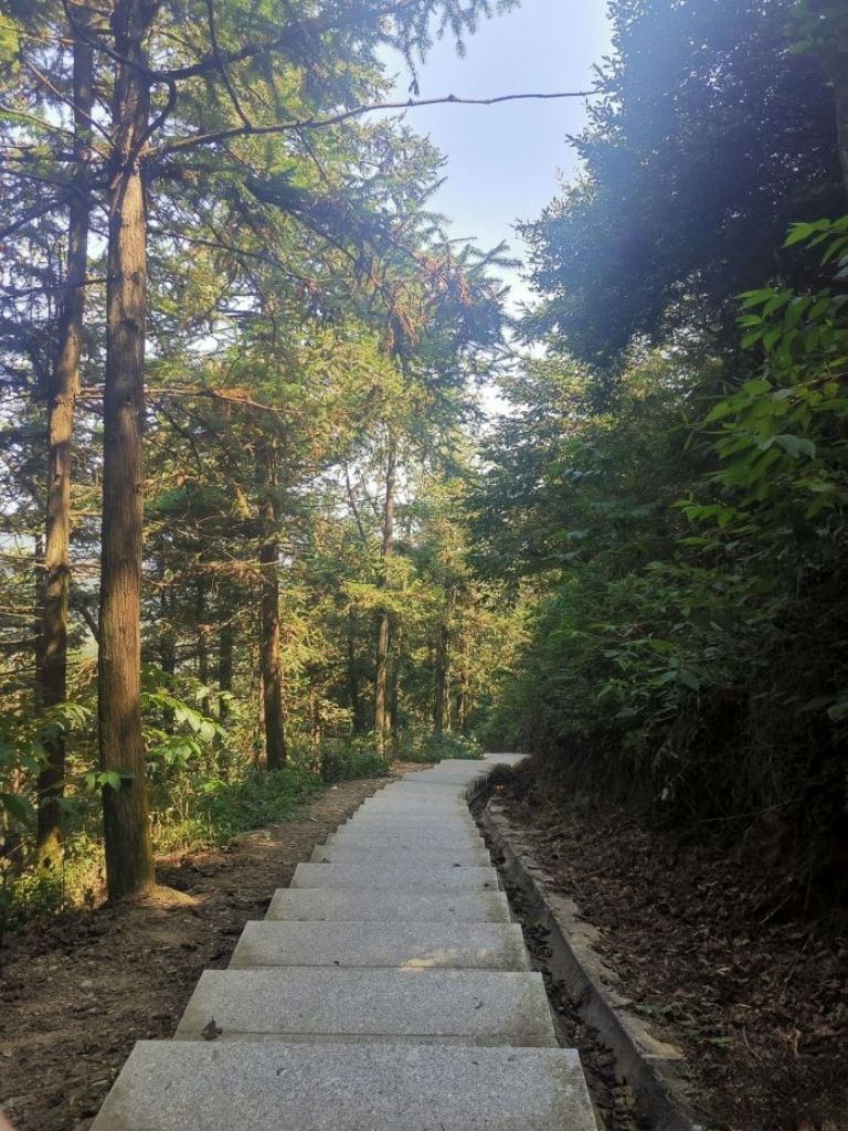 九峰山森林公园旅行图片 2
