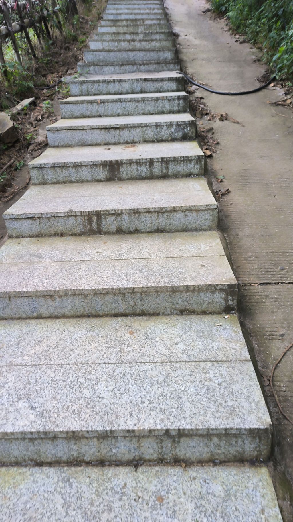 九峰山森林公园旅行图片 3