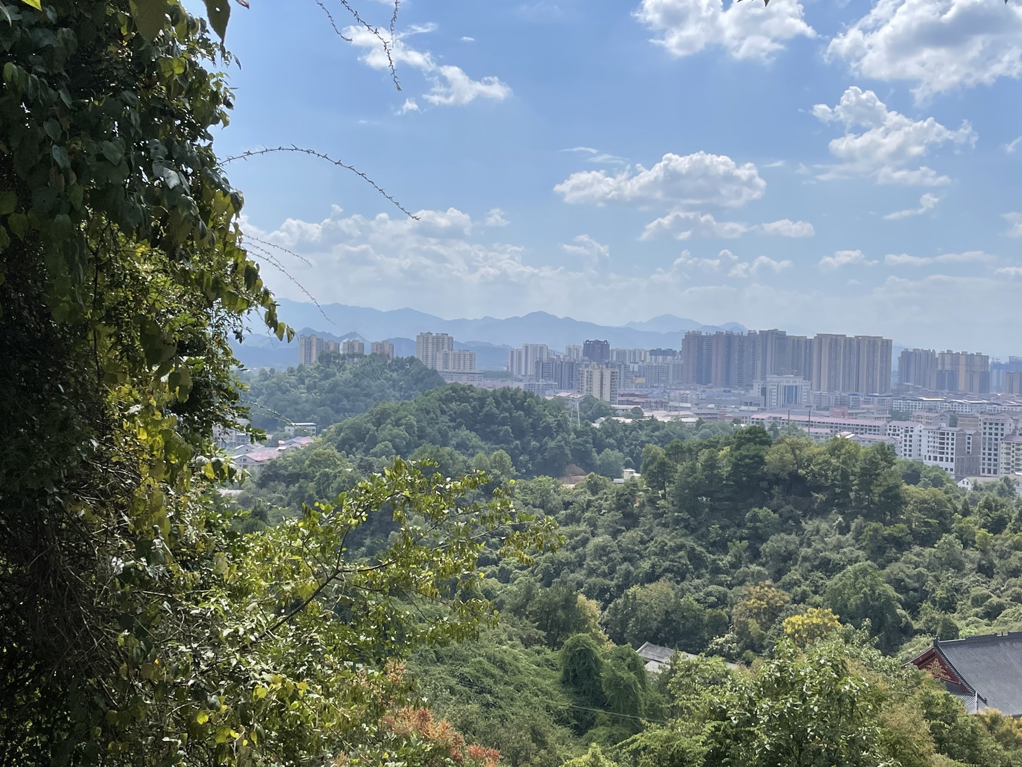 狮子山公园旅行图片 3