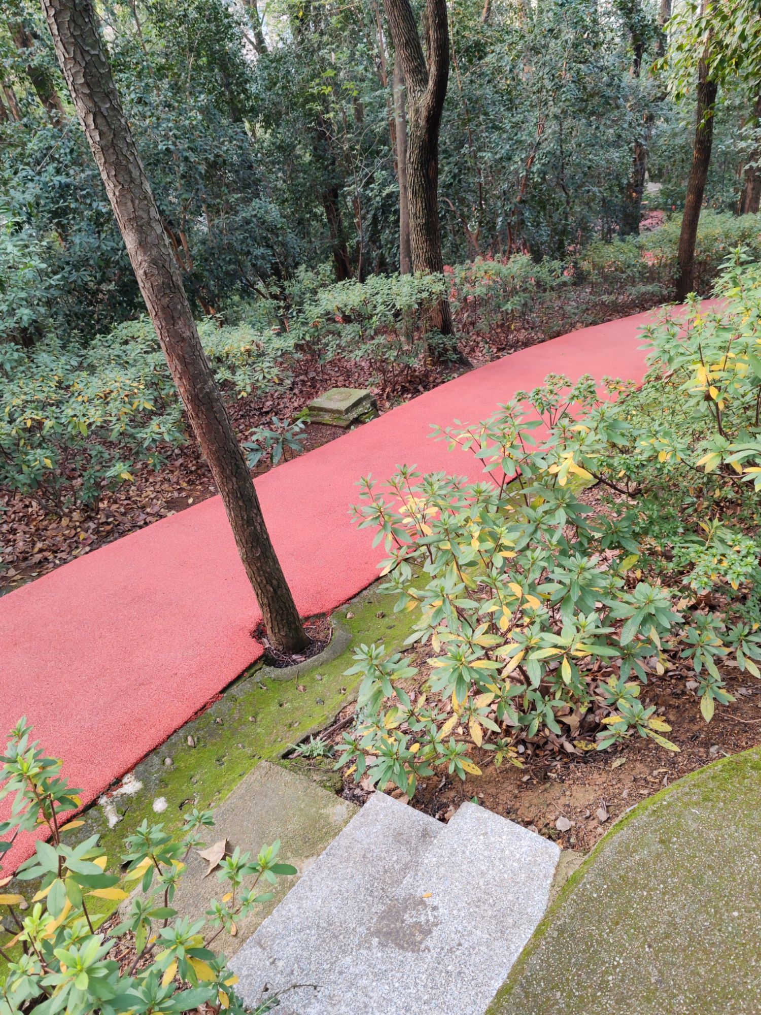 春园公园旅行图片 1