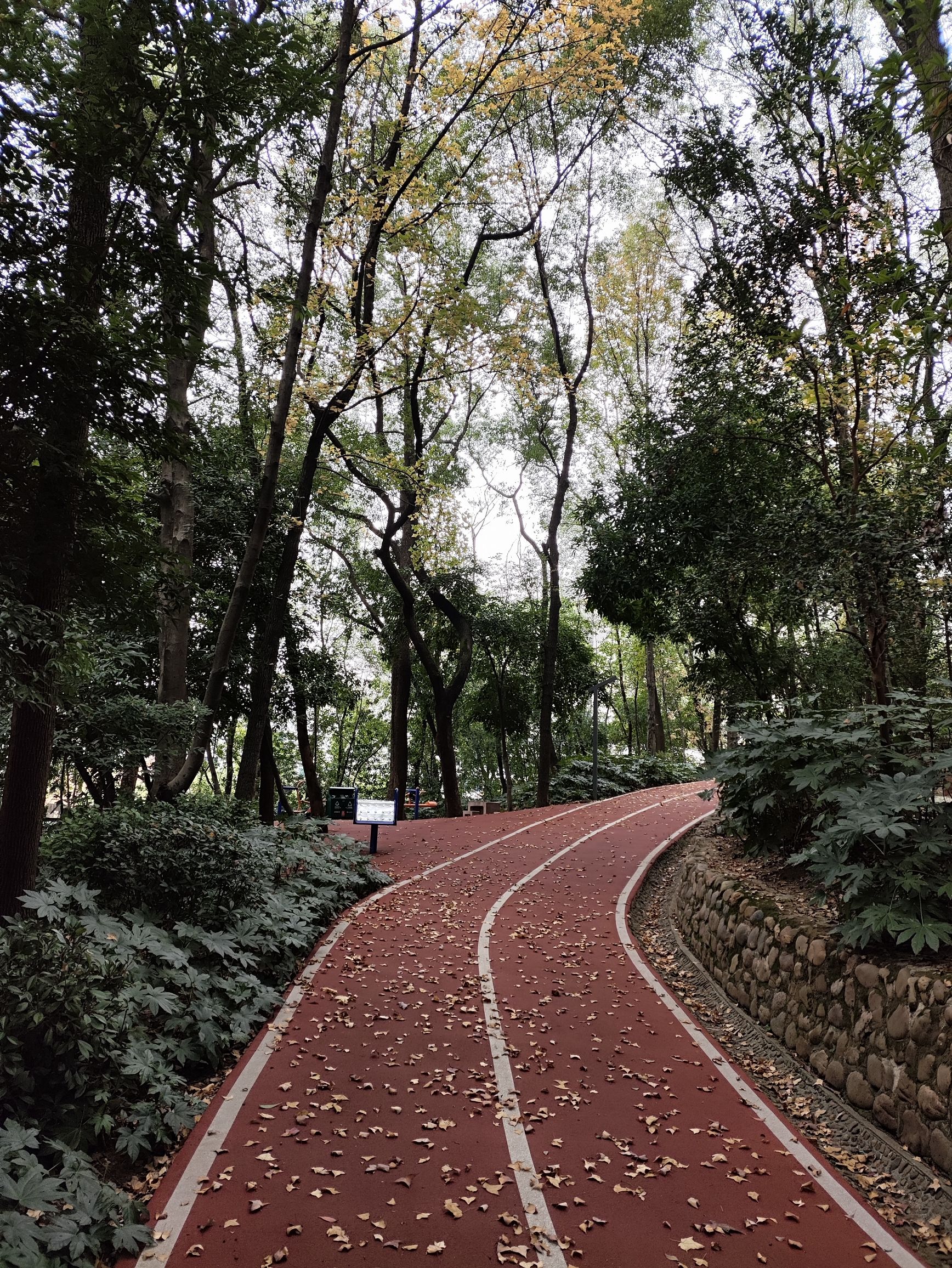 春园公园旅行图片 2