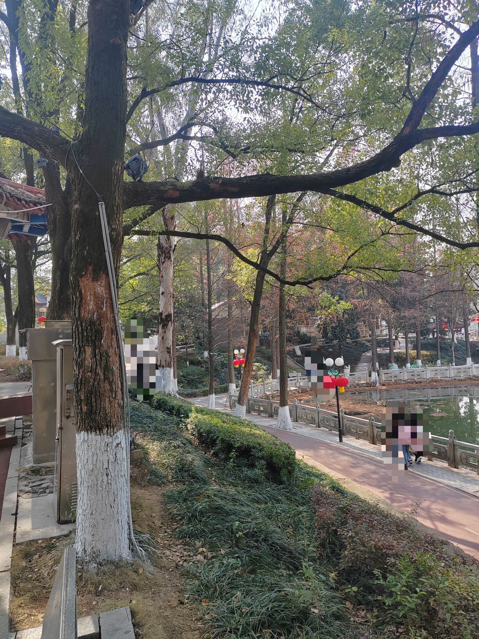 娄星广场旅行图片 3