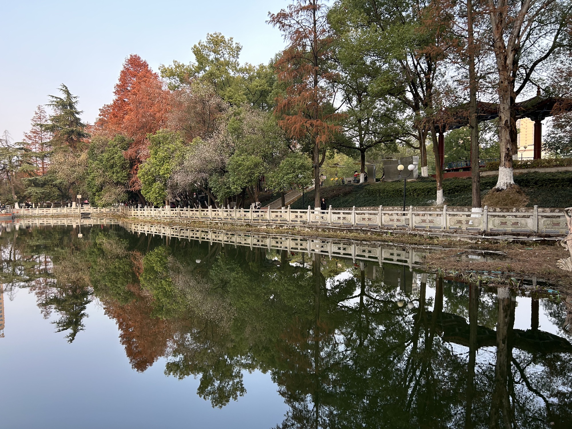 娄星广场旅行图片 1