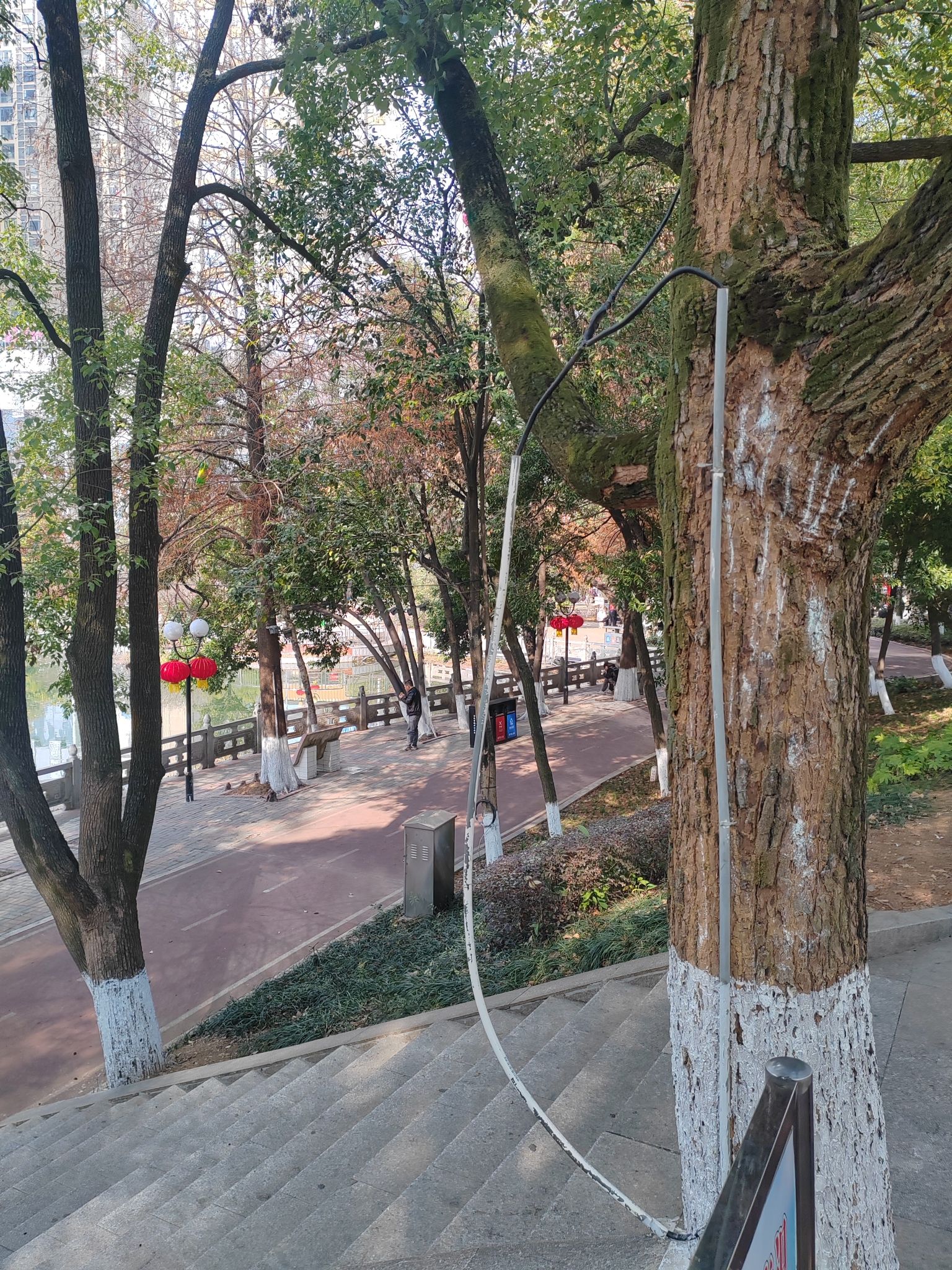 娄星广场旅行图片 1