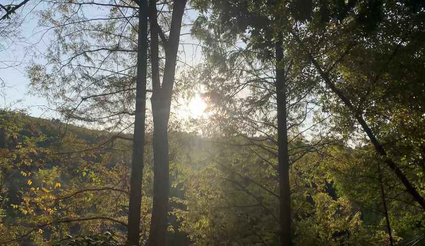 石马公园旅行图片 3