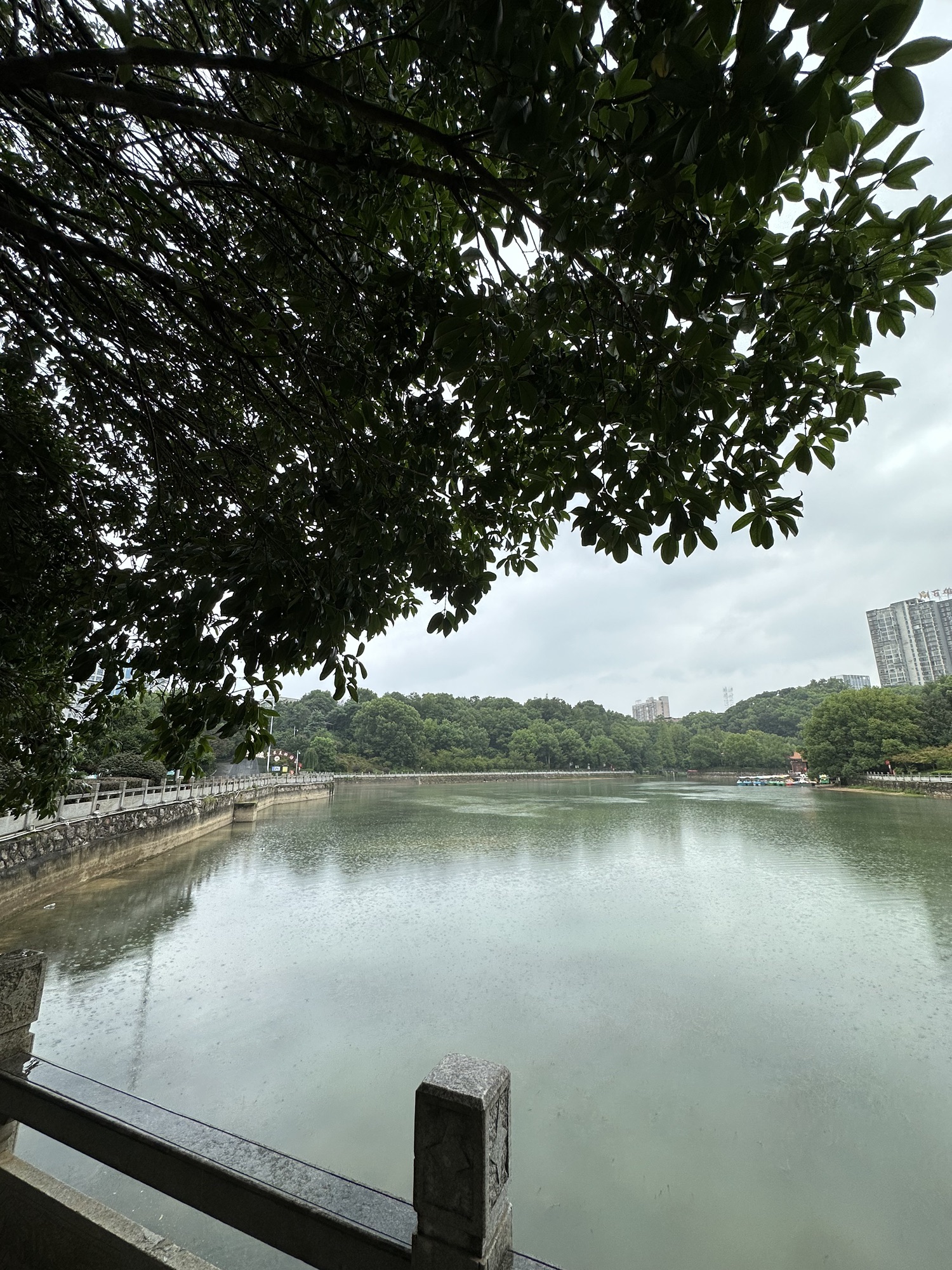 石马公园旅行图片 2
