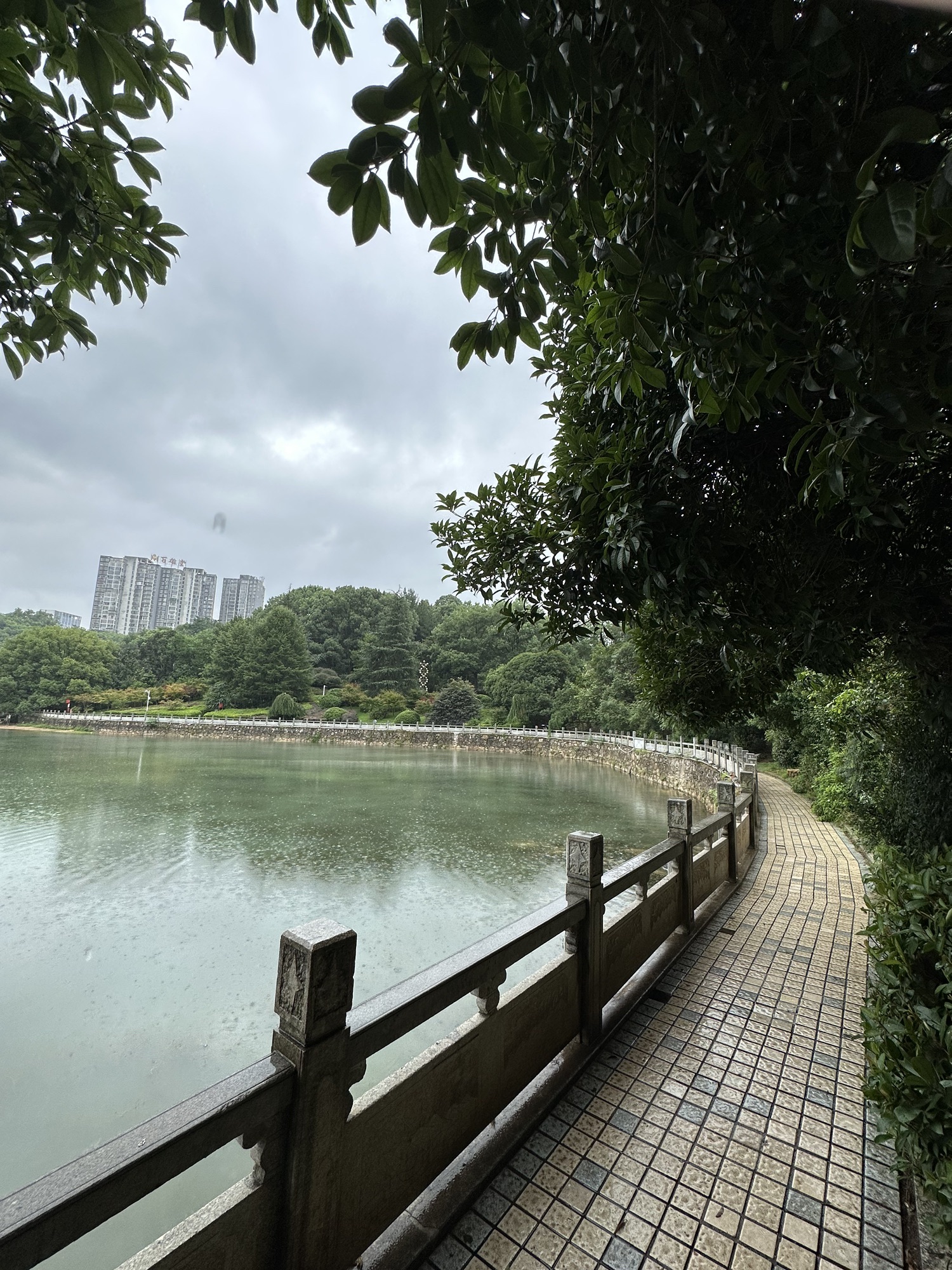 石马公园旅行图片 1