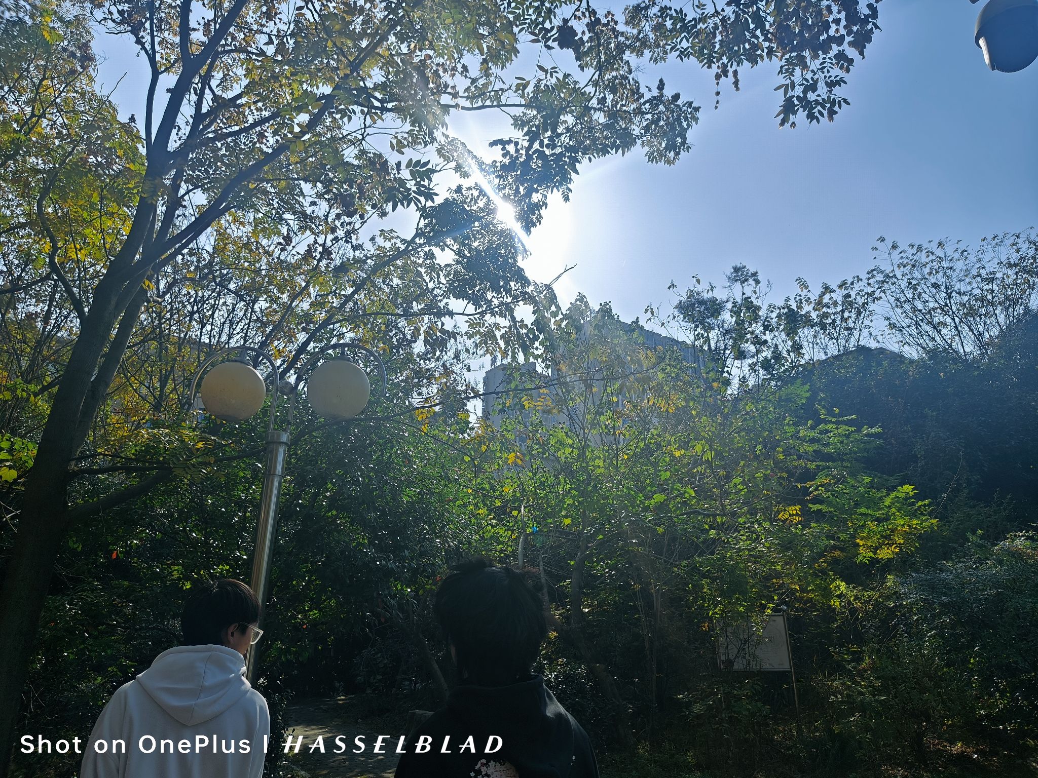石马公园旅行图片 2