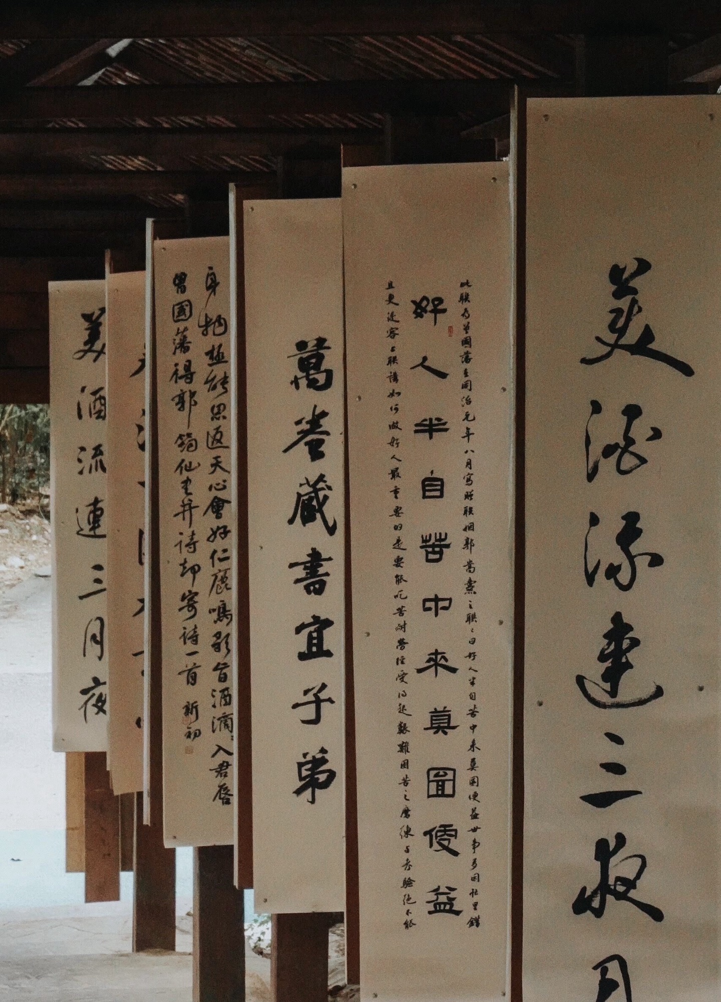 珠山公园旅行图片 3