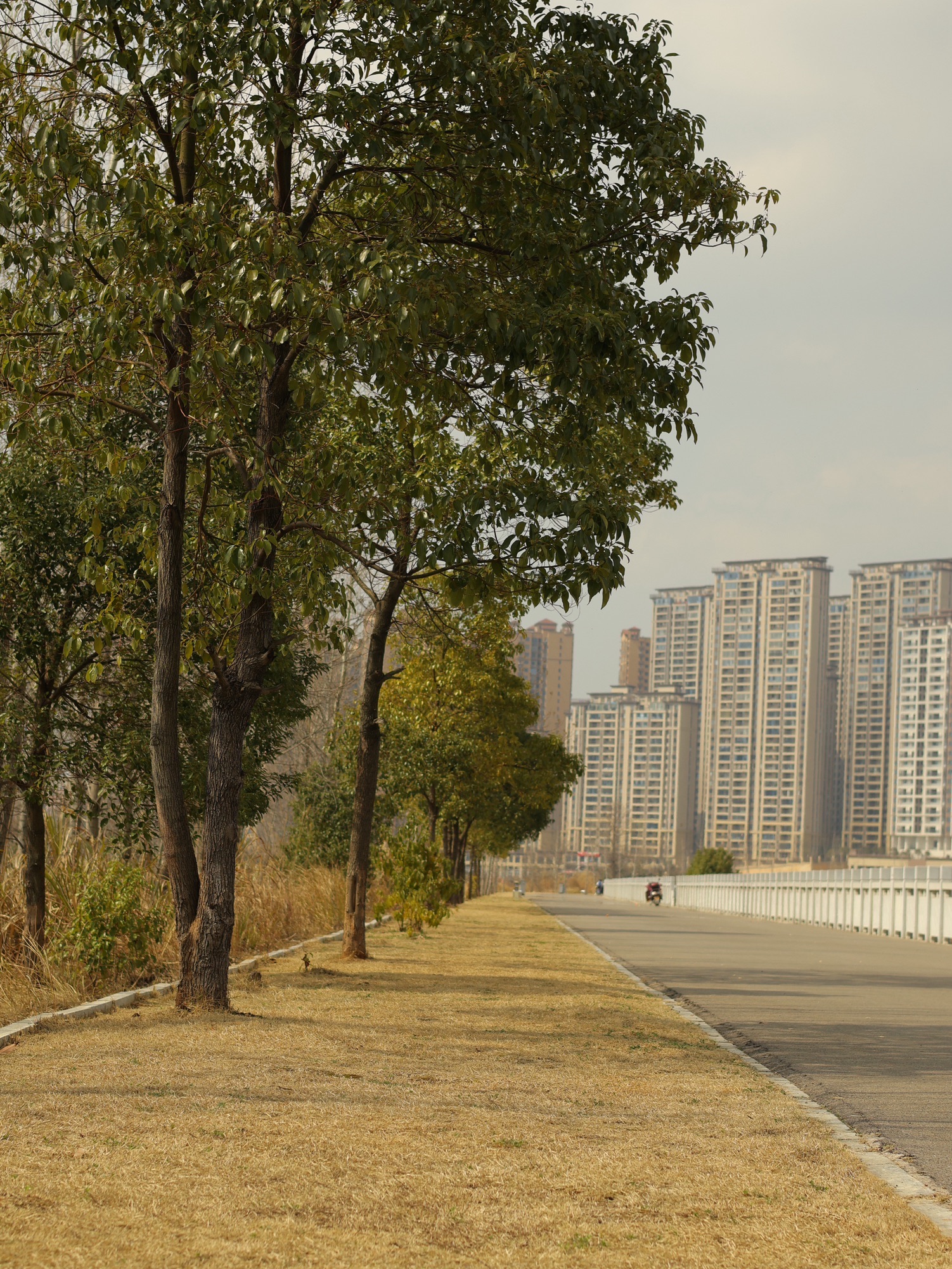 珠山公园旅行图片 2