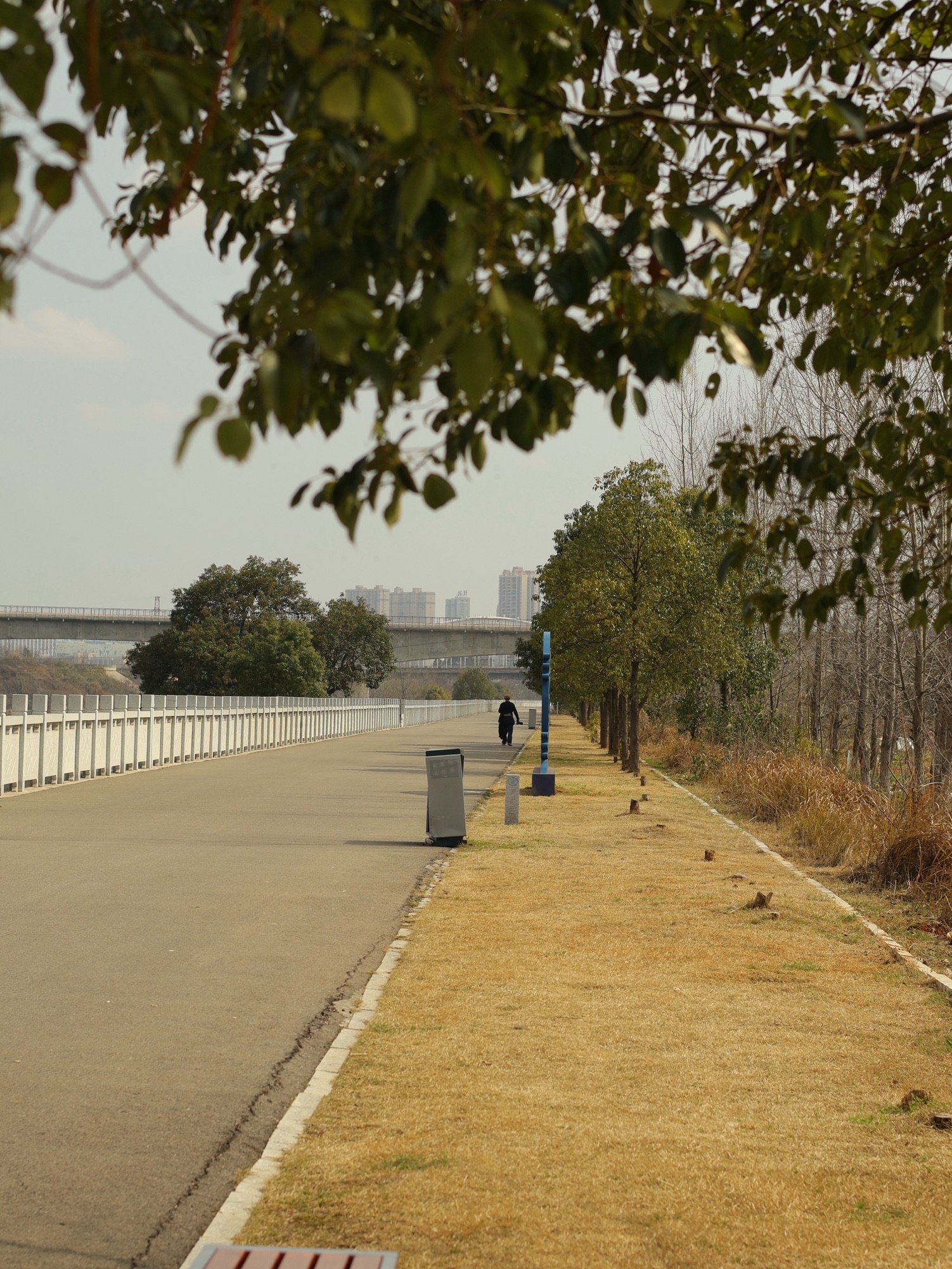 珠山公园旅行图片 3