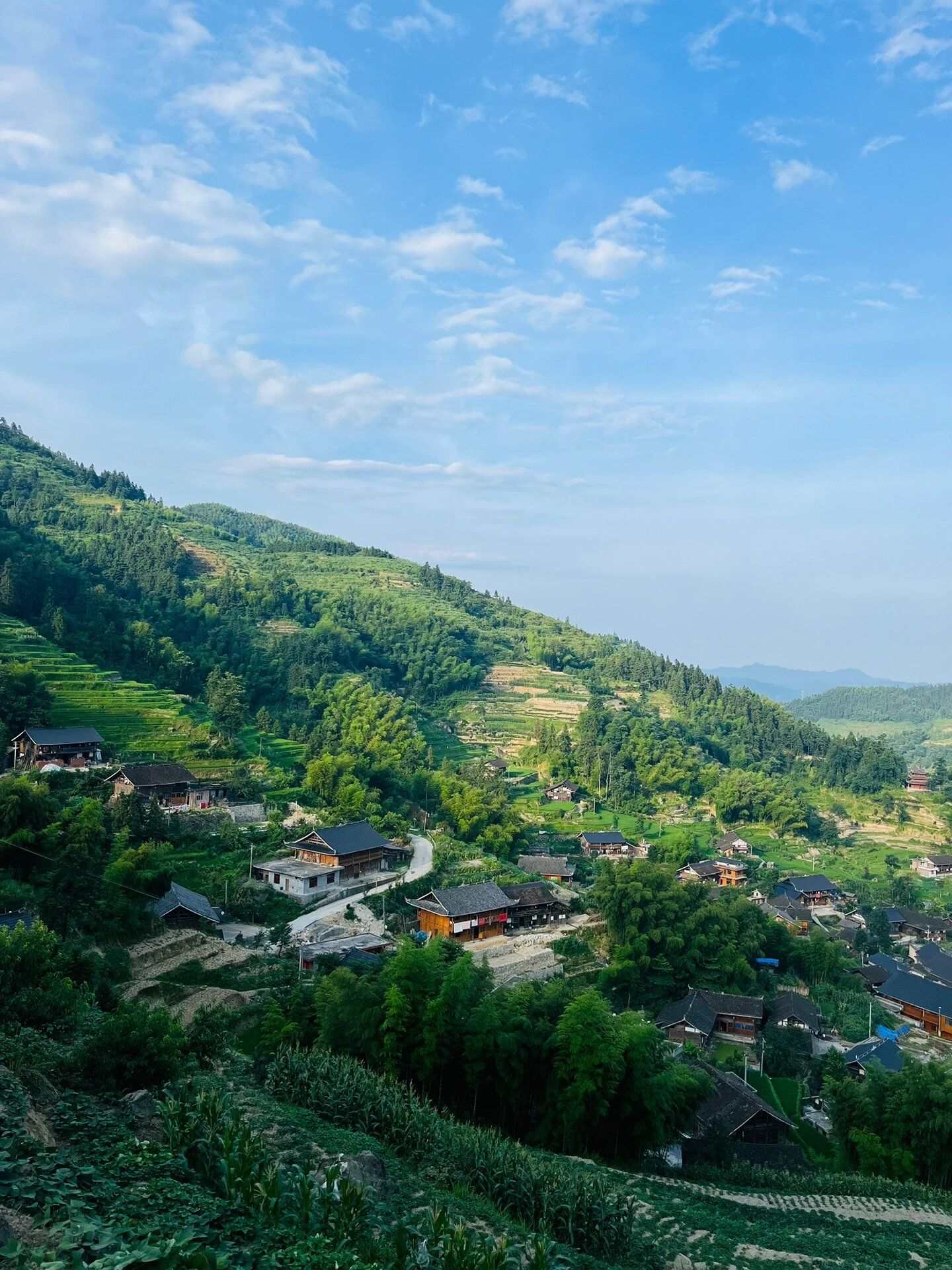 紫鹊界梯田景区旅行图片 2