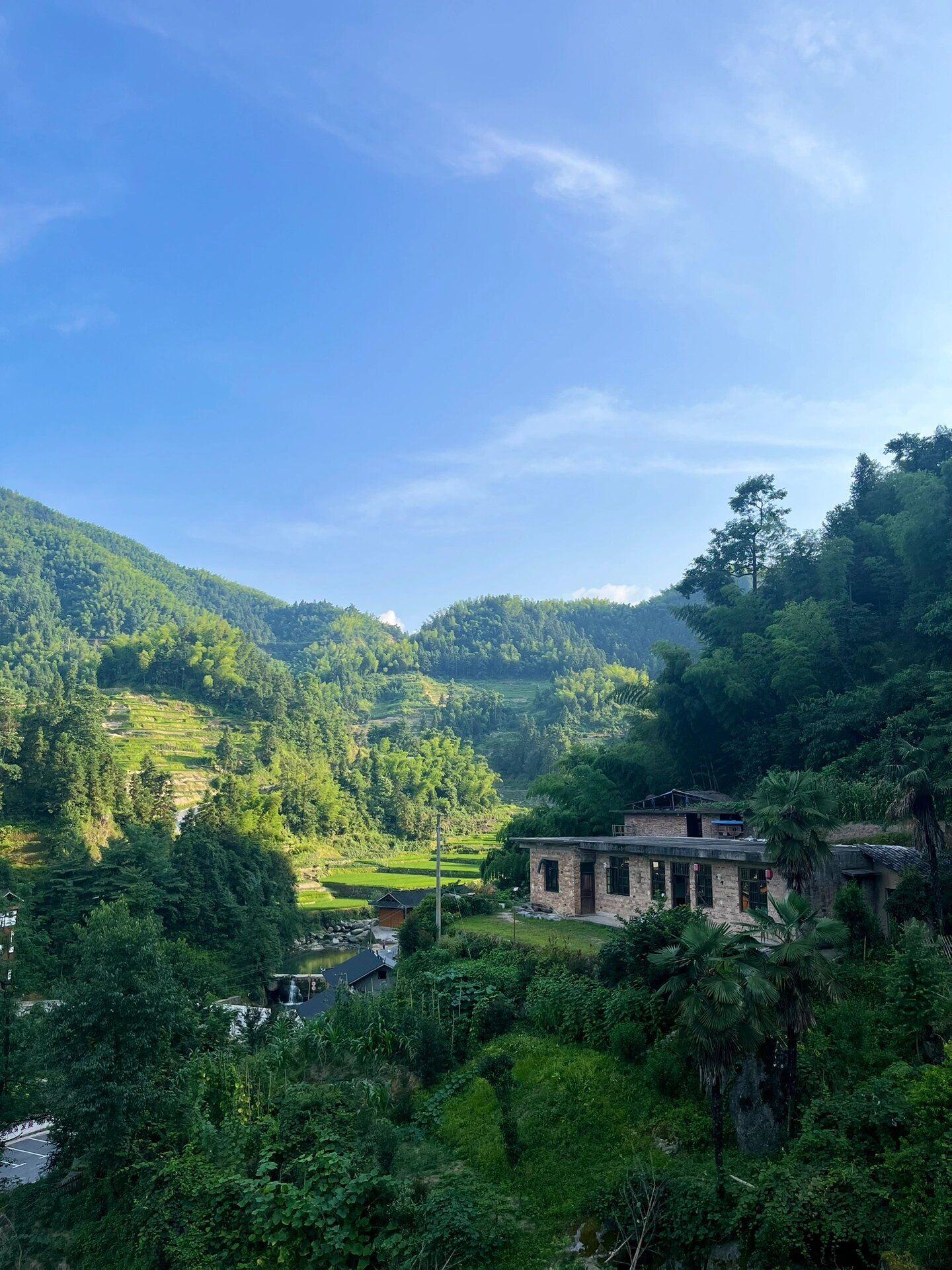紫鹊界梯田景区旅行图片 1